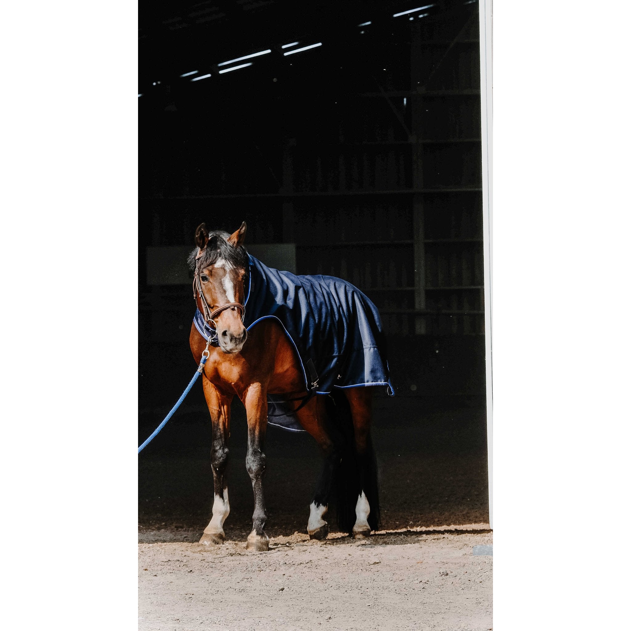 Equithème Classic Walkertäcke