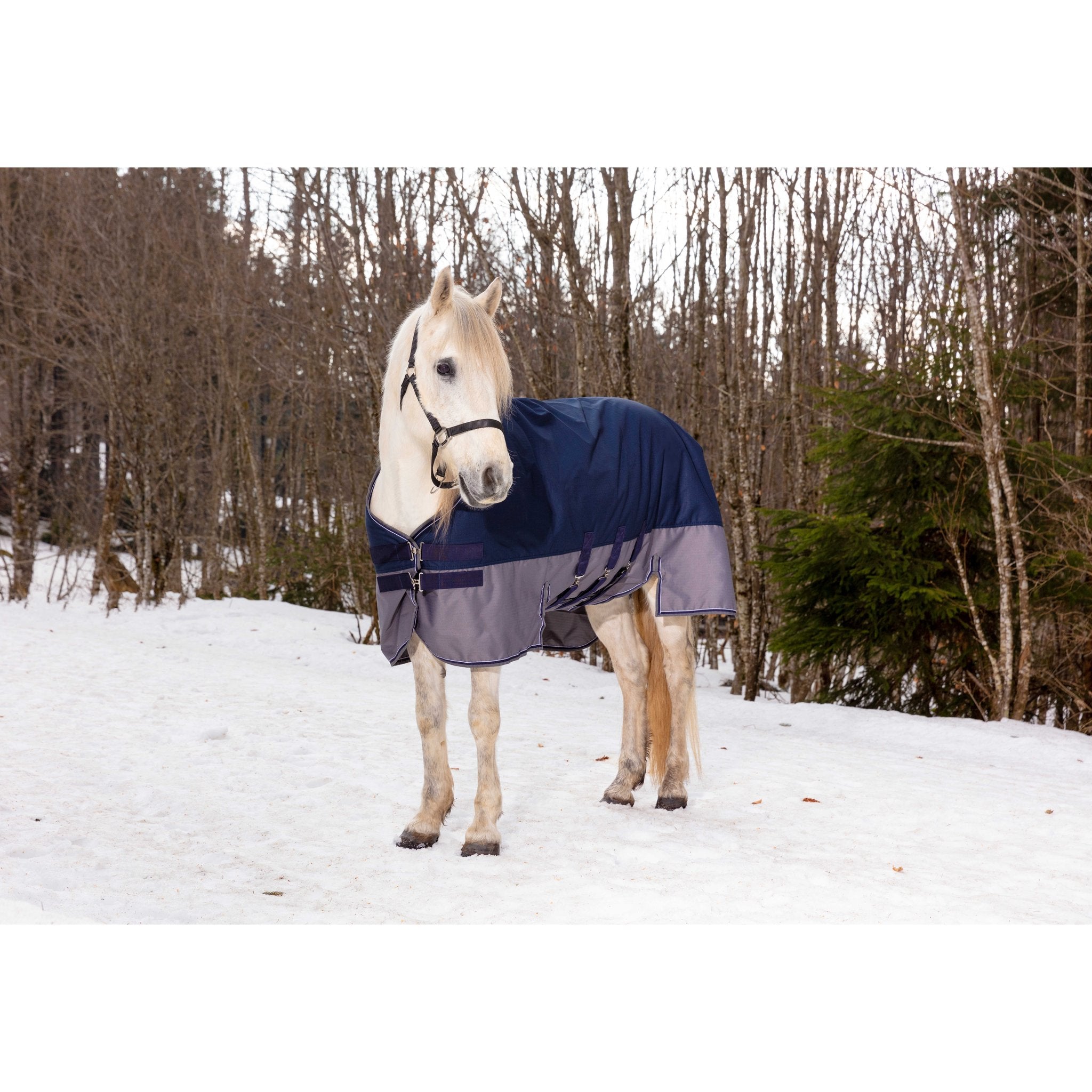 Equithème TYREX 600D Turnout täcke med magskydd 300 g