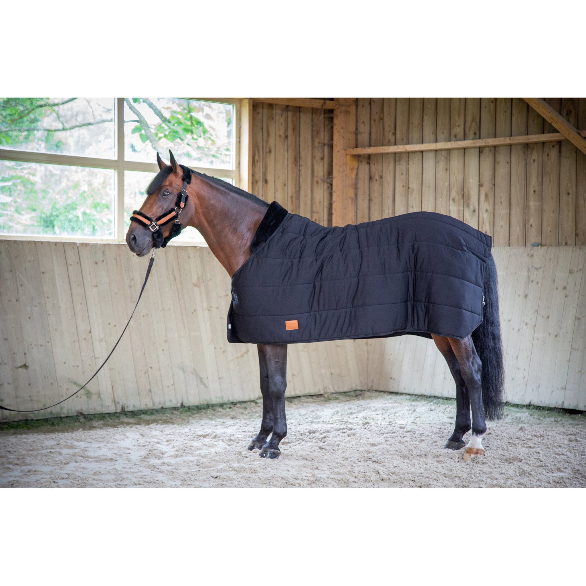 PADDOCK undertäcke 200 g