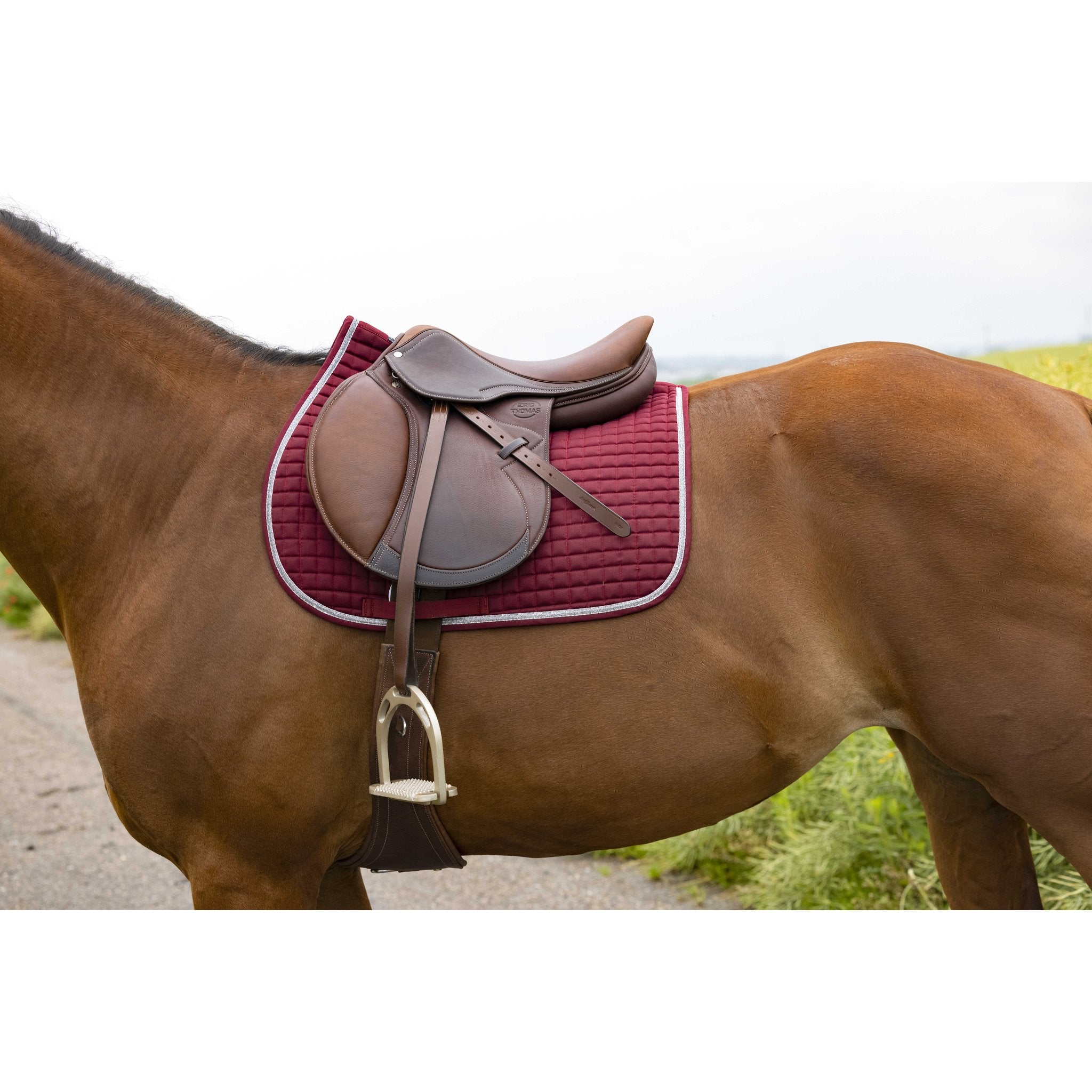 RIDING WORLD Girly Hoppschabrak
