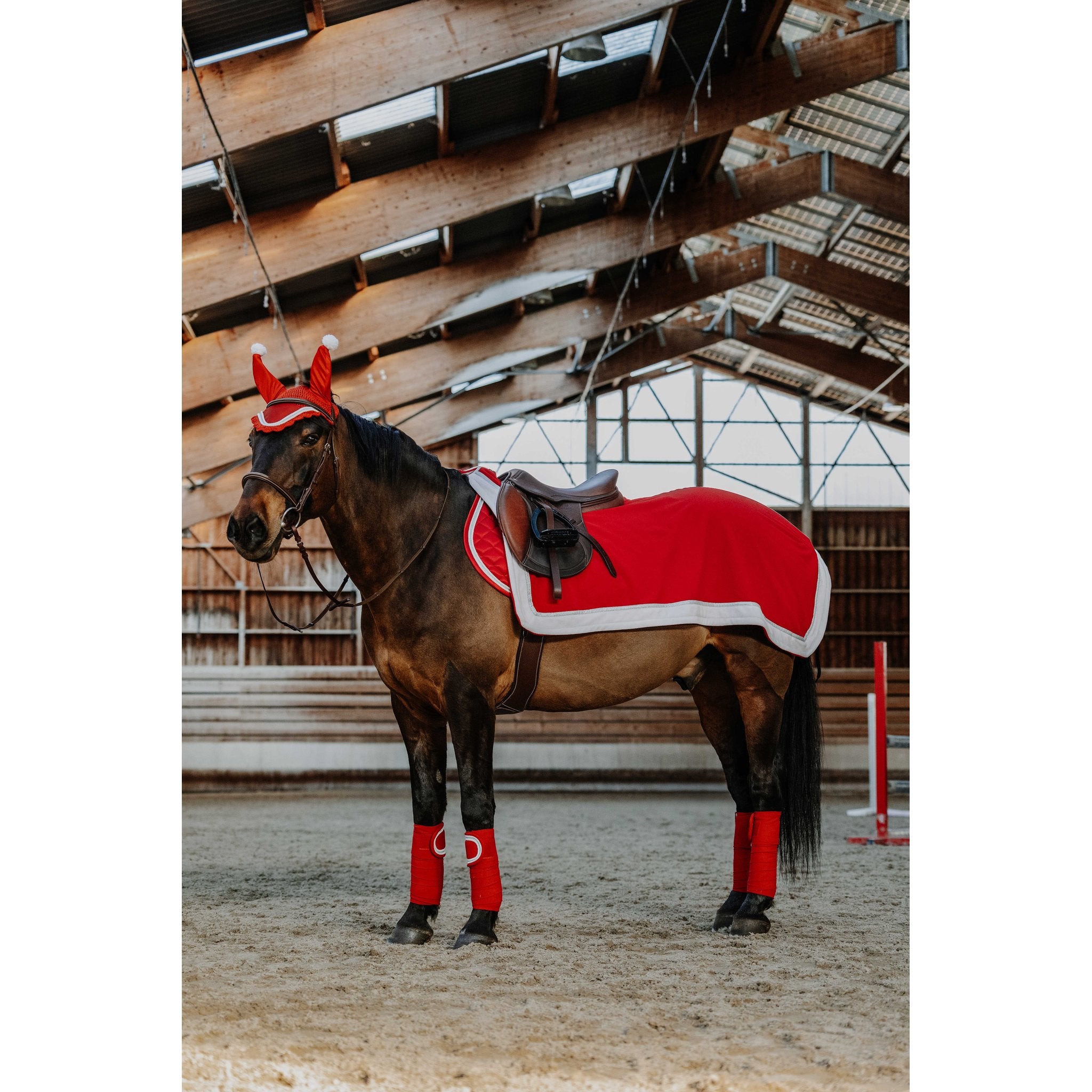 Equitheme X-mas ländtäcke