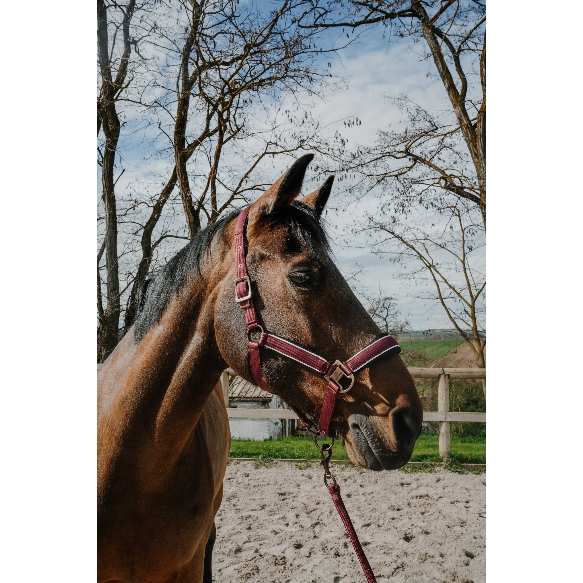 Equitheme Coco set grimma + grimskaft