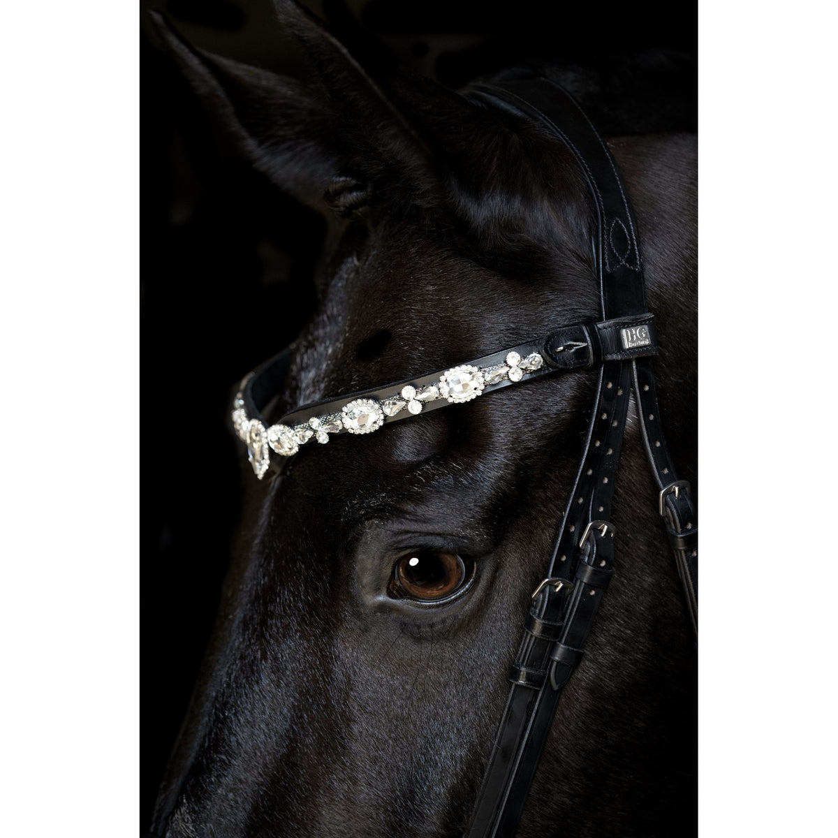 Horse Guard Sunnywale pannband