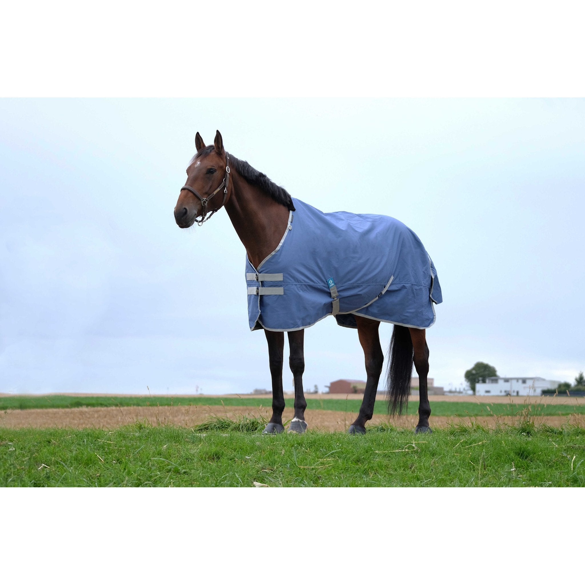 Equithème TYREX 600D återvunnet utetäcke 300 g