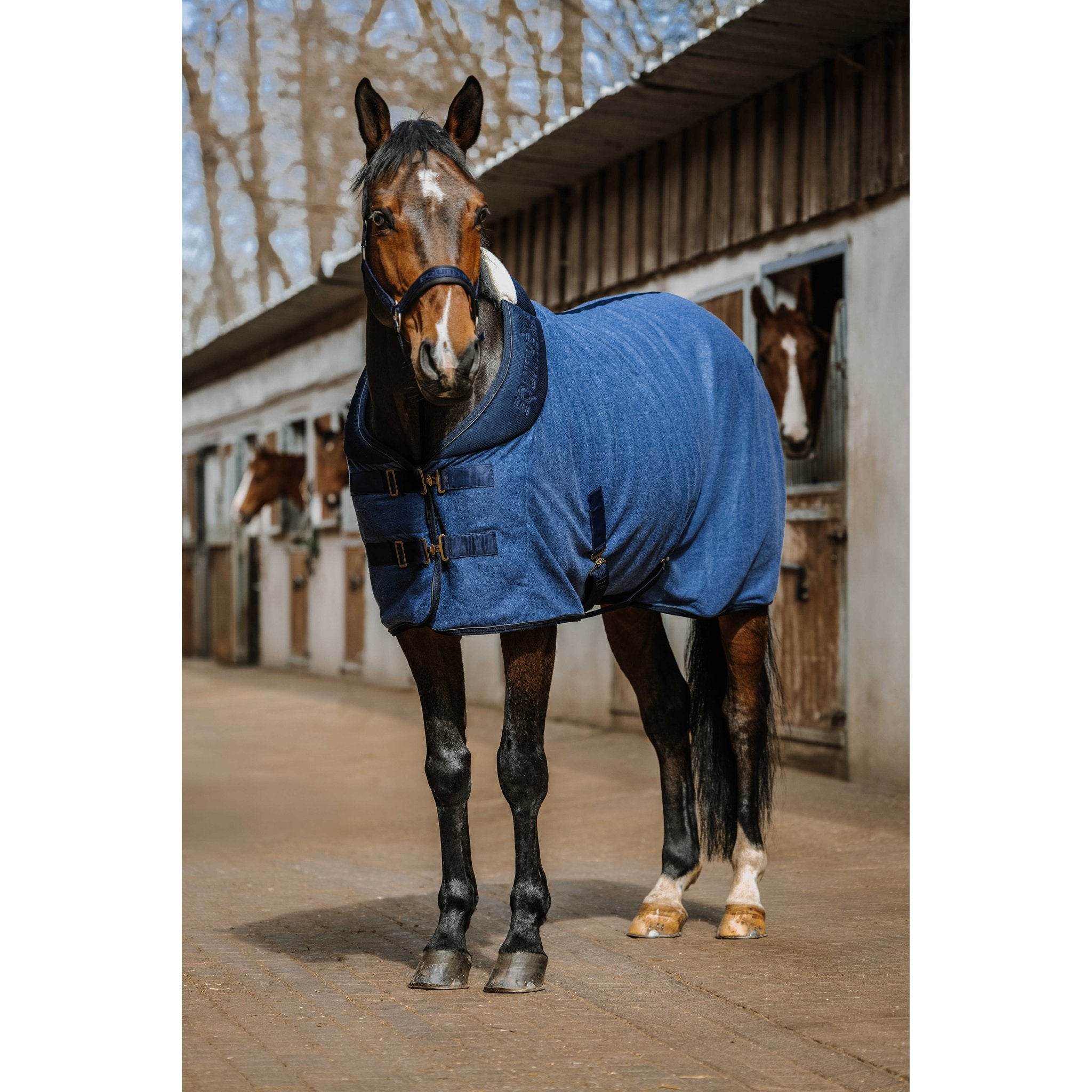 Equitheme Polar Fleecetäcke Confortech