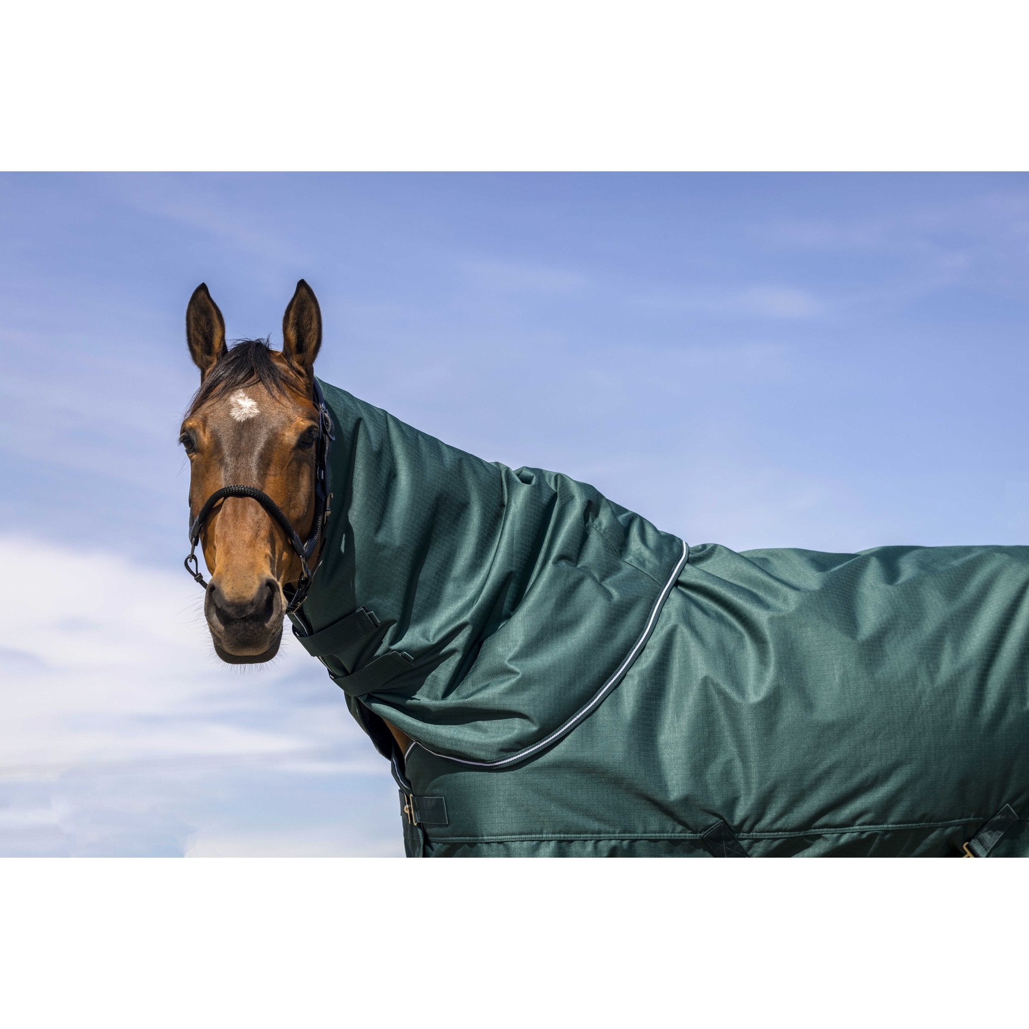 Equithème TYREX 600D Halstäcke 0 g