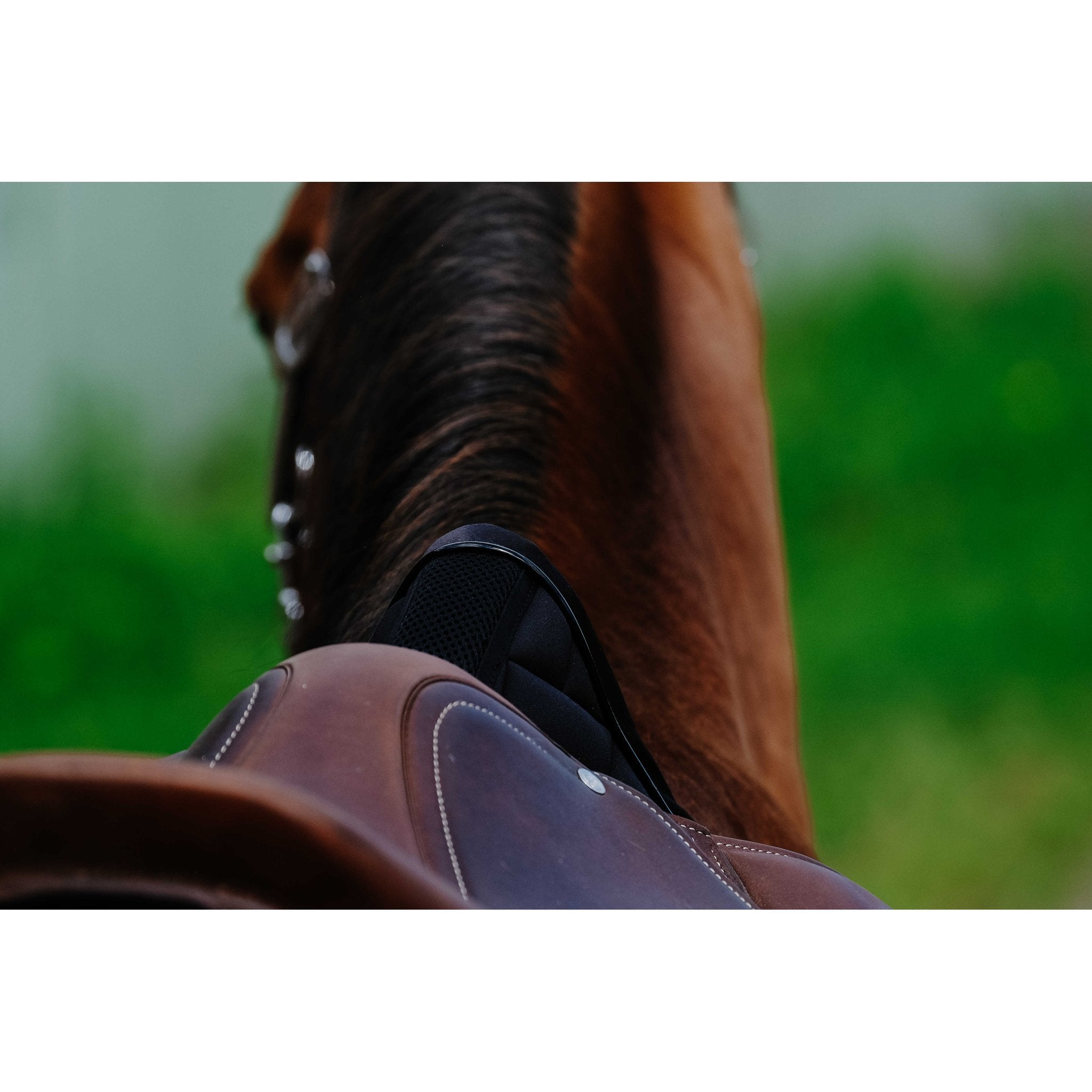 Equithème Impulsion Schabrak