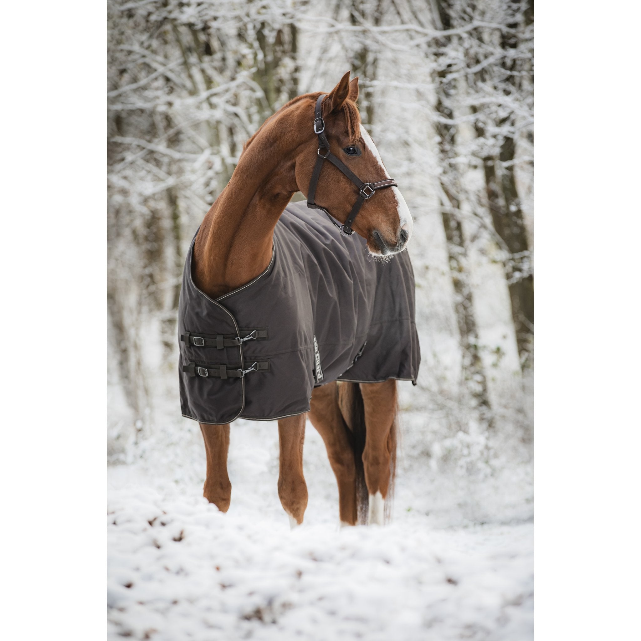 HorseGuard Landon 1200D Turnout täcke 200g
