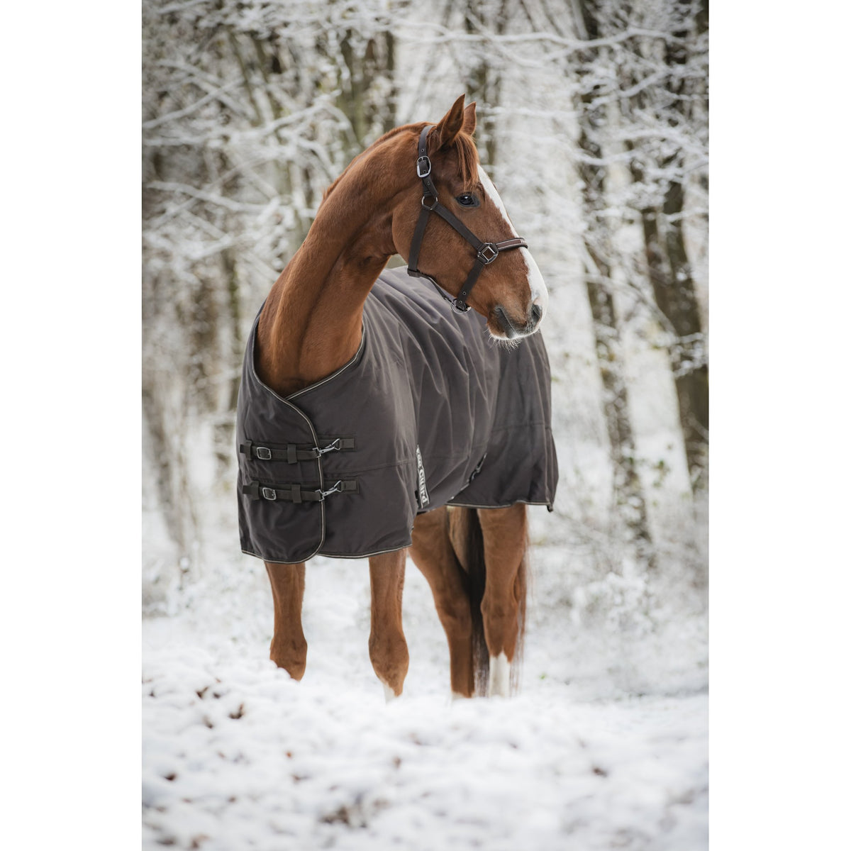 HorseGuard Landon 1200D Turnout täcke 200g