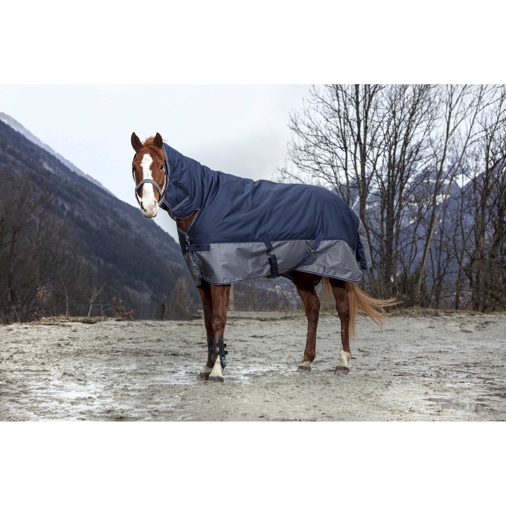 Equithème TYREX 600D Combo utetäcke 0 g