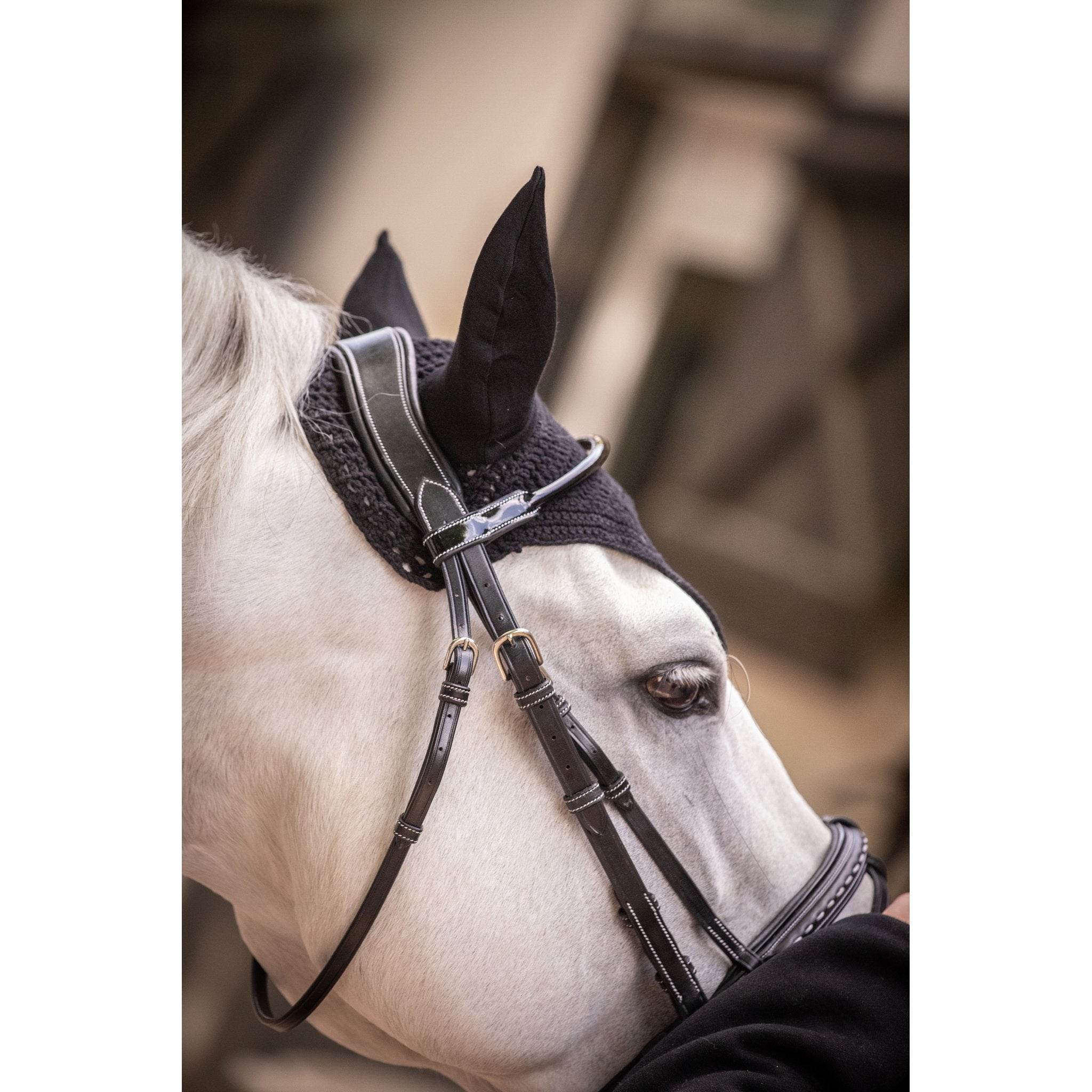 PADDOCK Pro coton luva