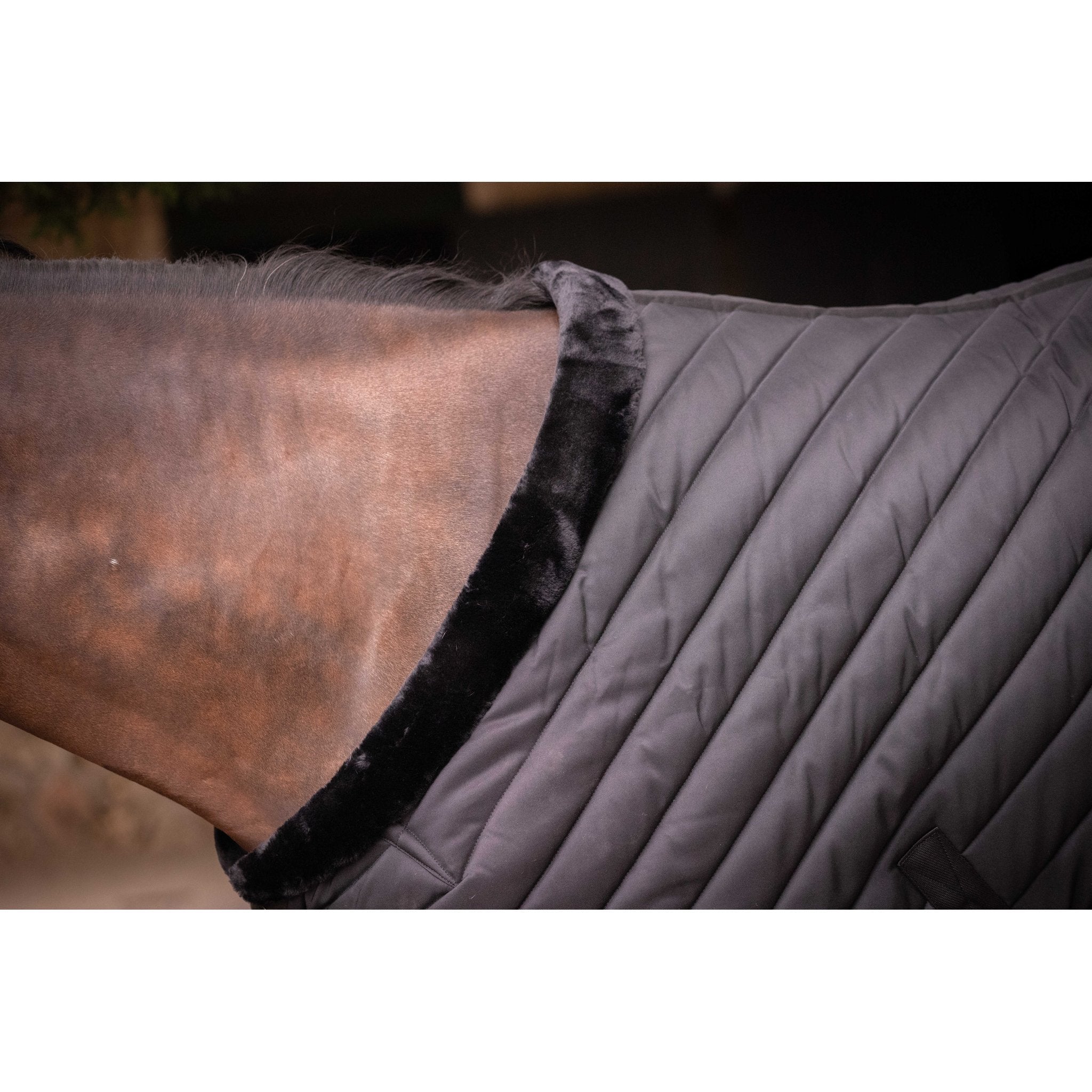 PADDOCK Stalltäcke 400 g