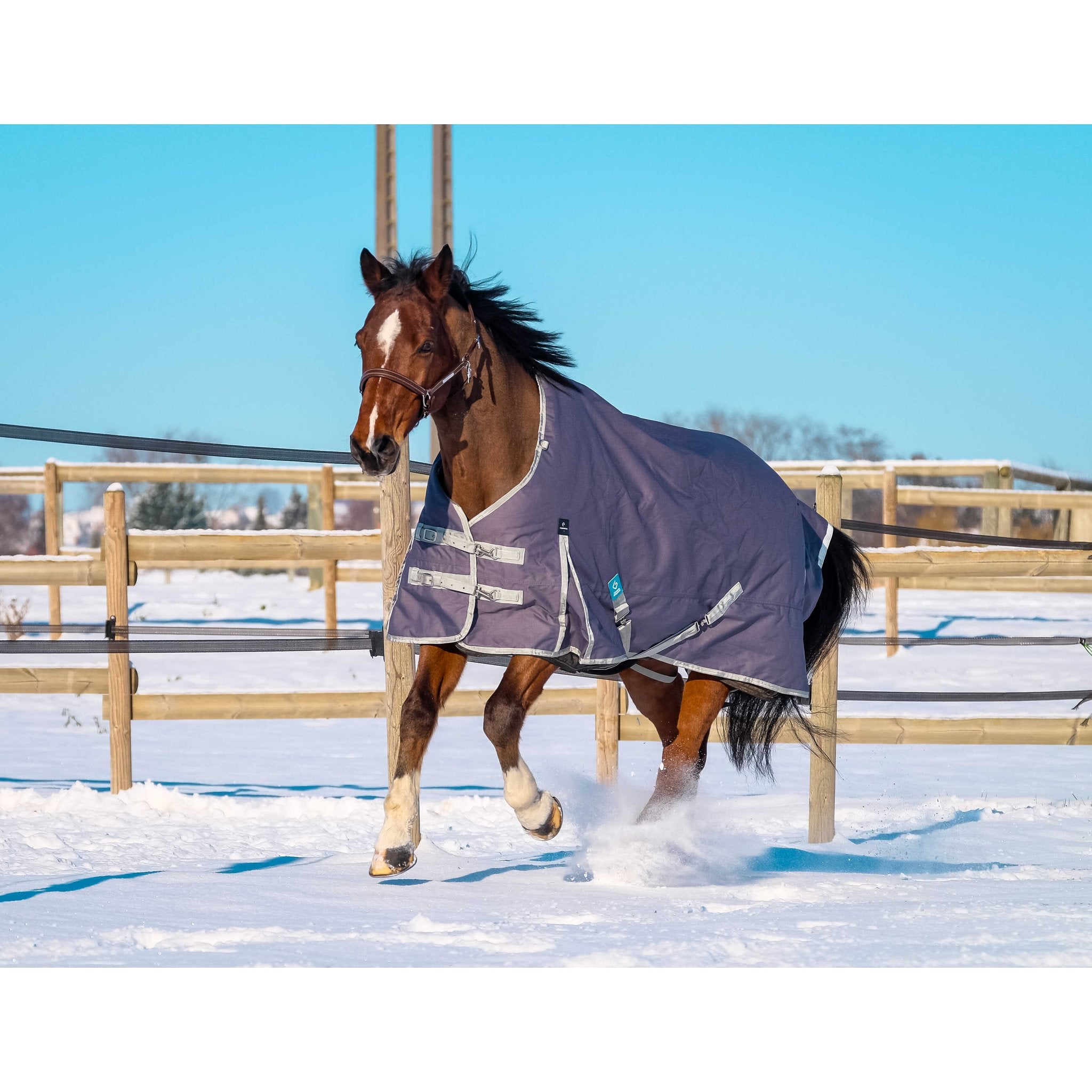 Equithème TYREX 1200D Återvunnet Turnout täcke 50 g