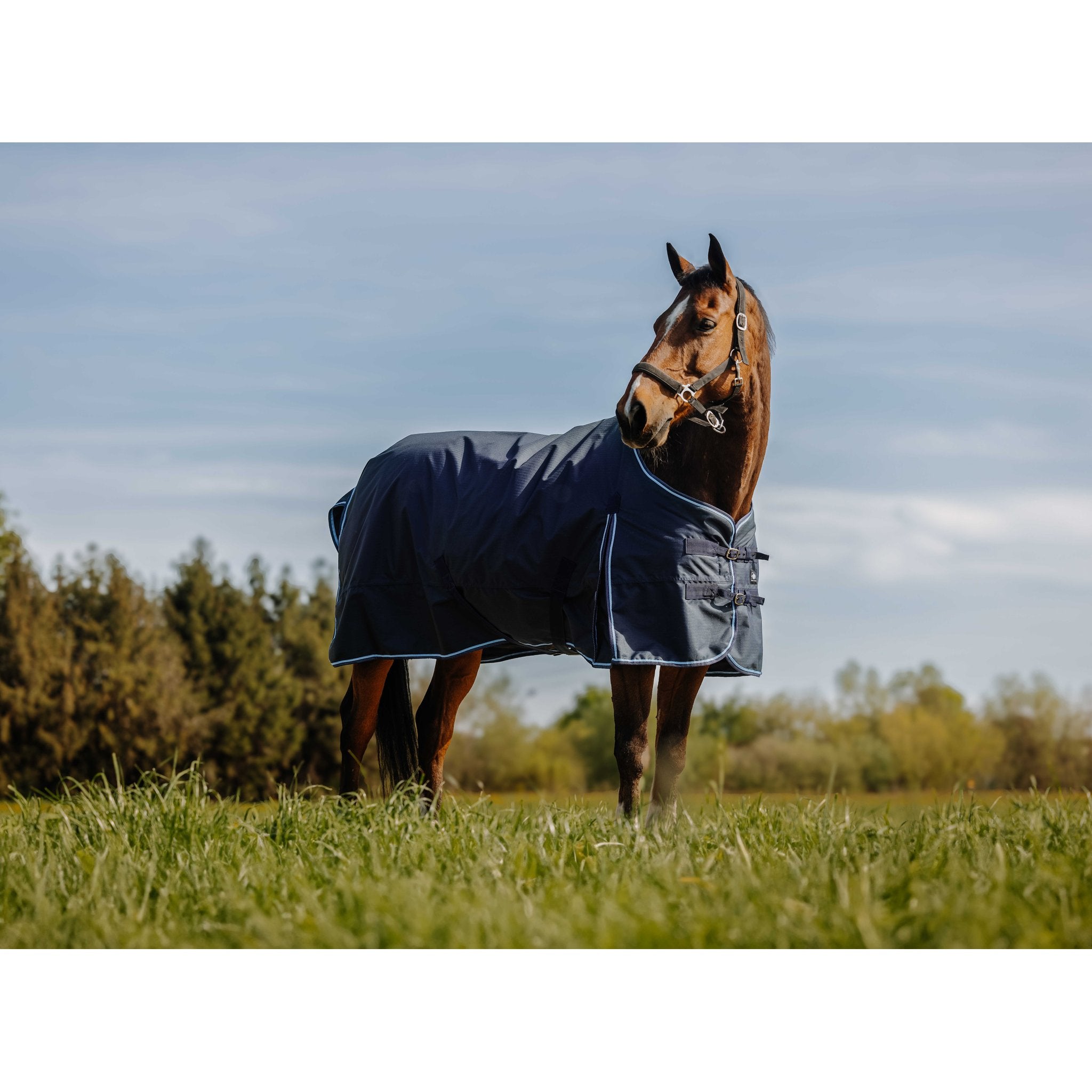 RIDING WORLD - Eco 600D - Utetäcke 220 g