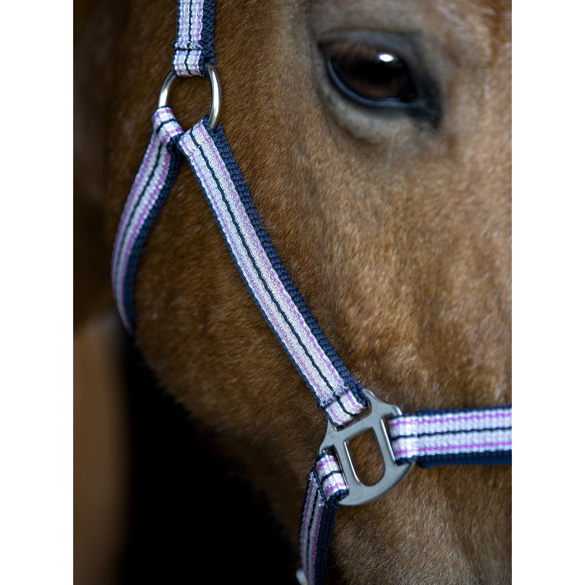 HorseGuard Mascha grimma