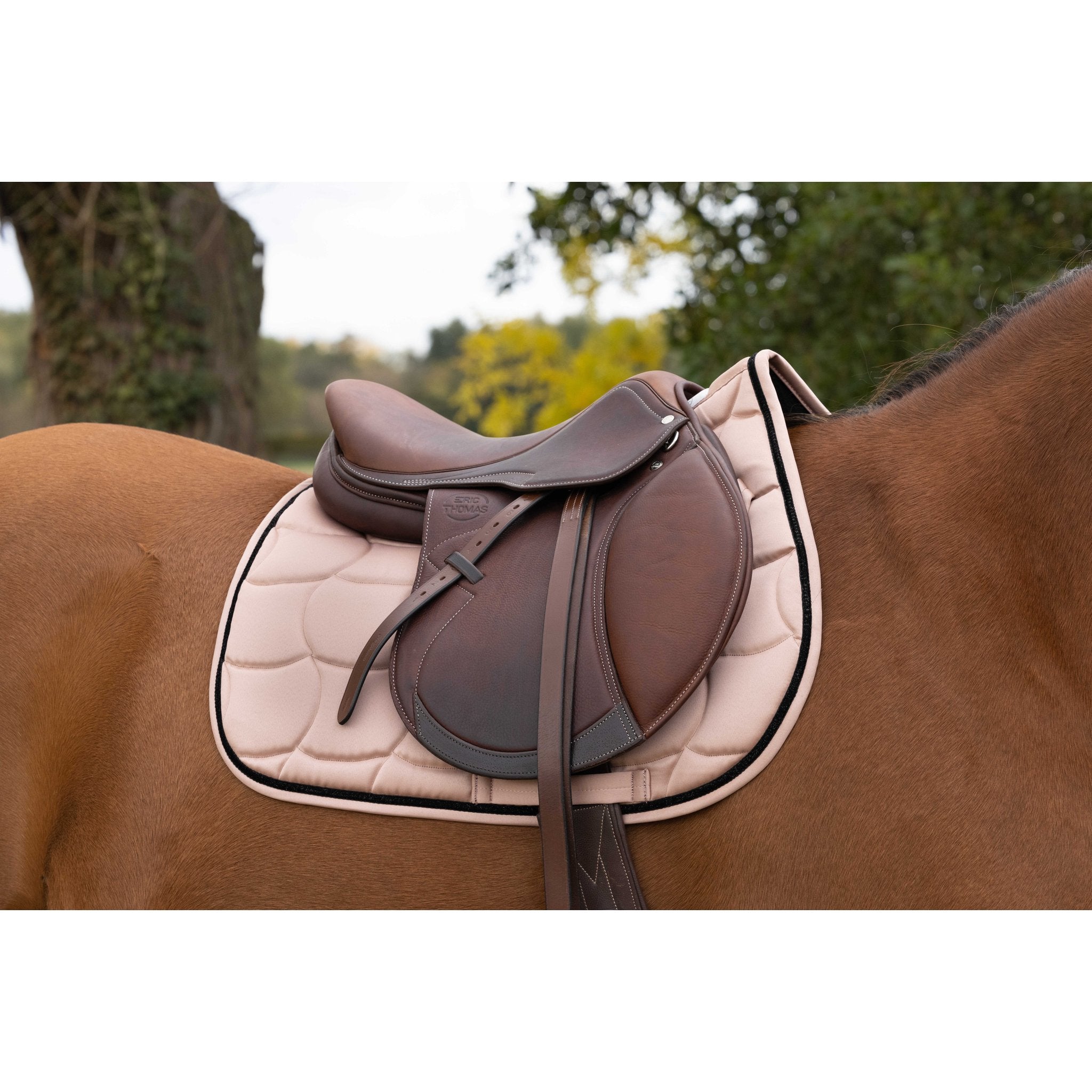 Equithème Satin Schabrak