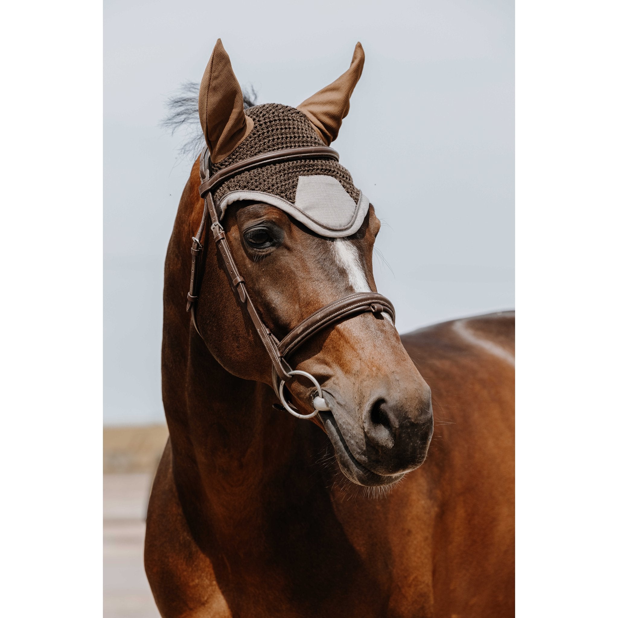 Equithème Chic Luva
