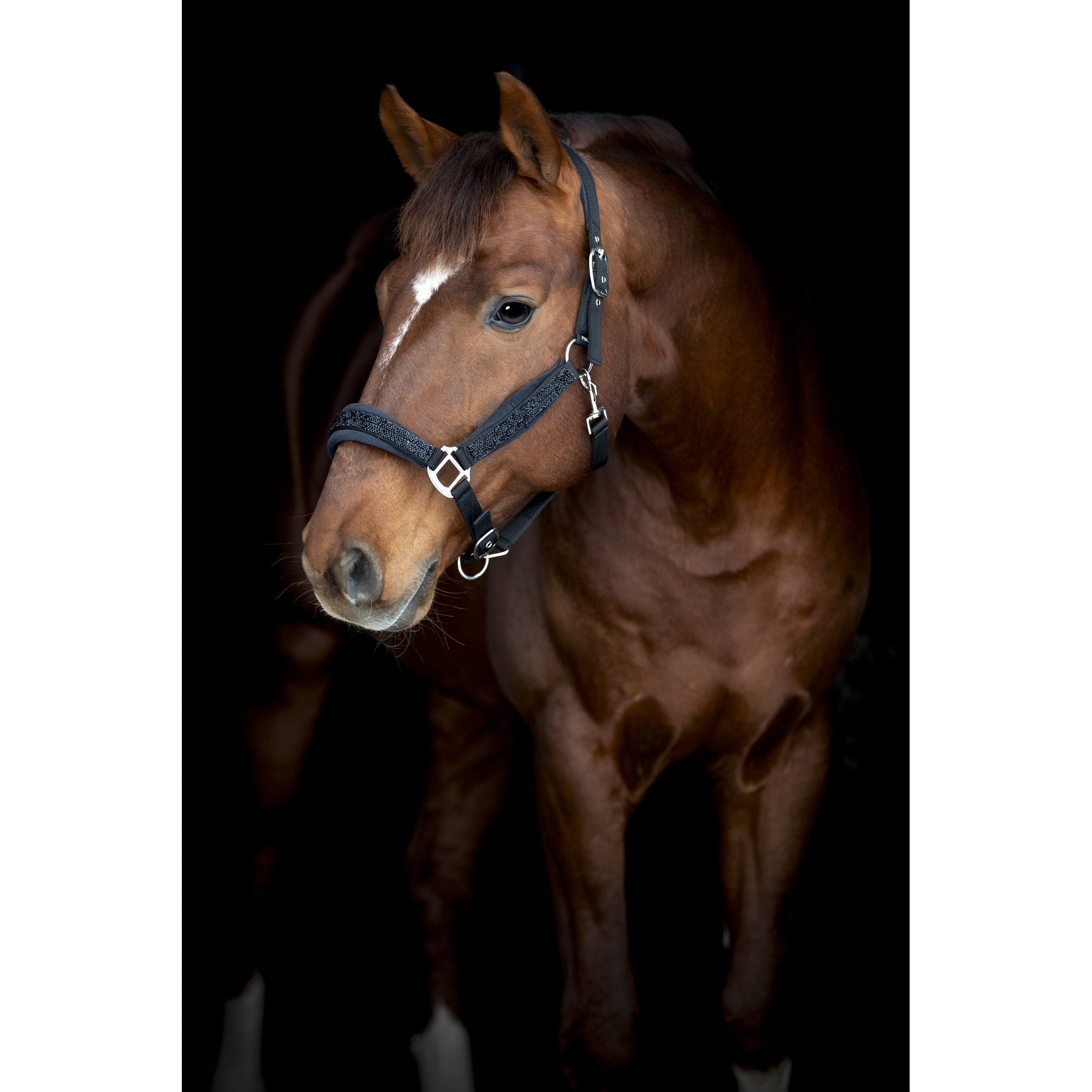 Horse Guard Angel grimma med glitter