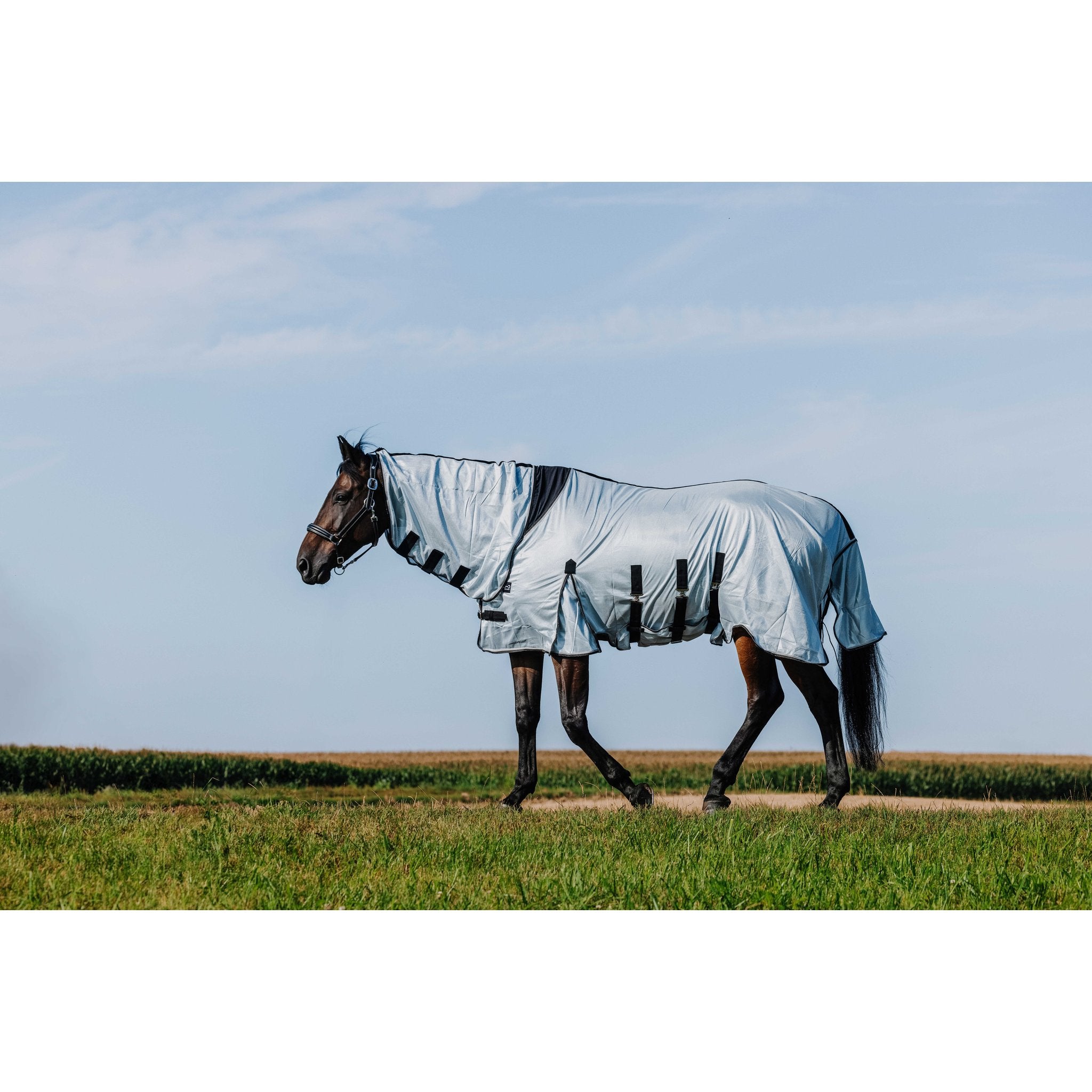 RIDING WORLD Belly Mesh Flugtäcke med hals