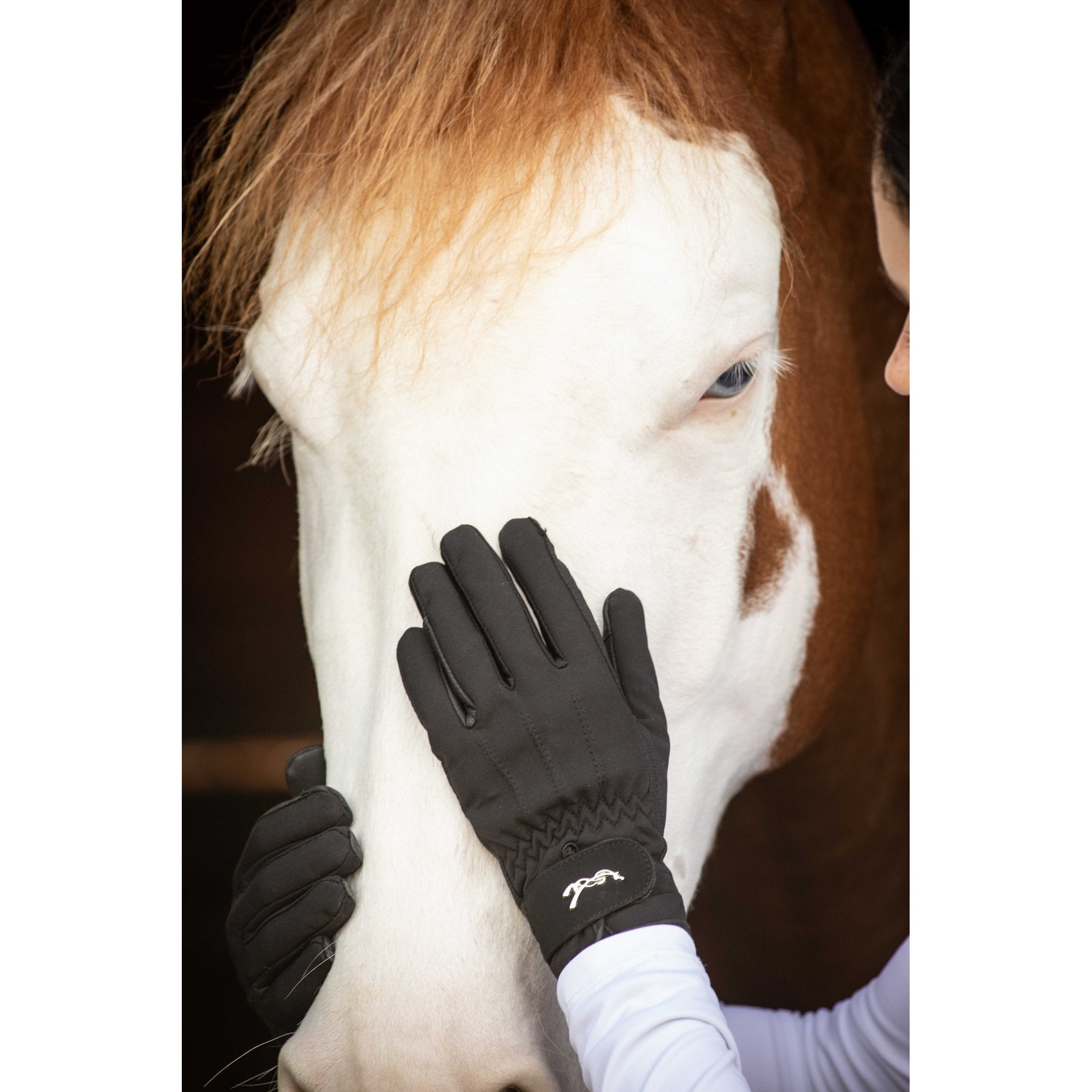 PENELOPE Hiver Handskar