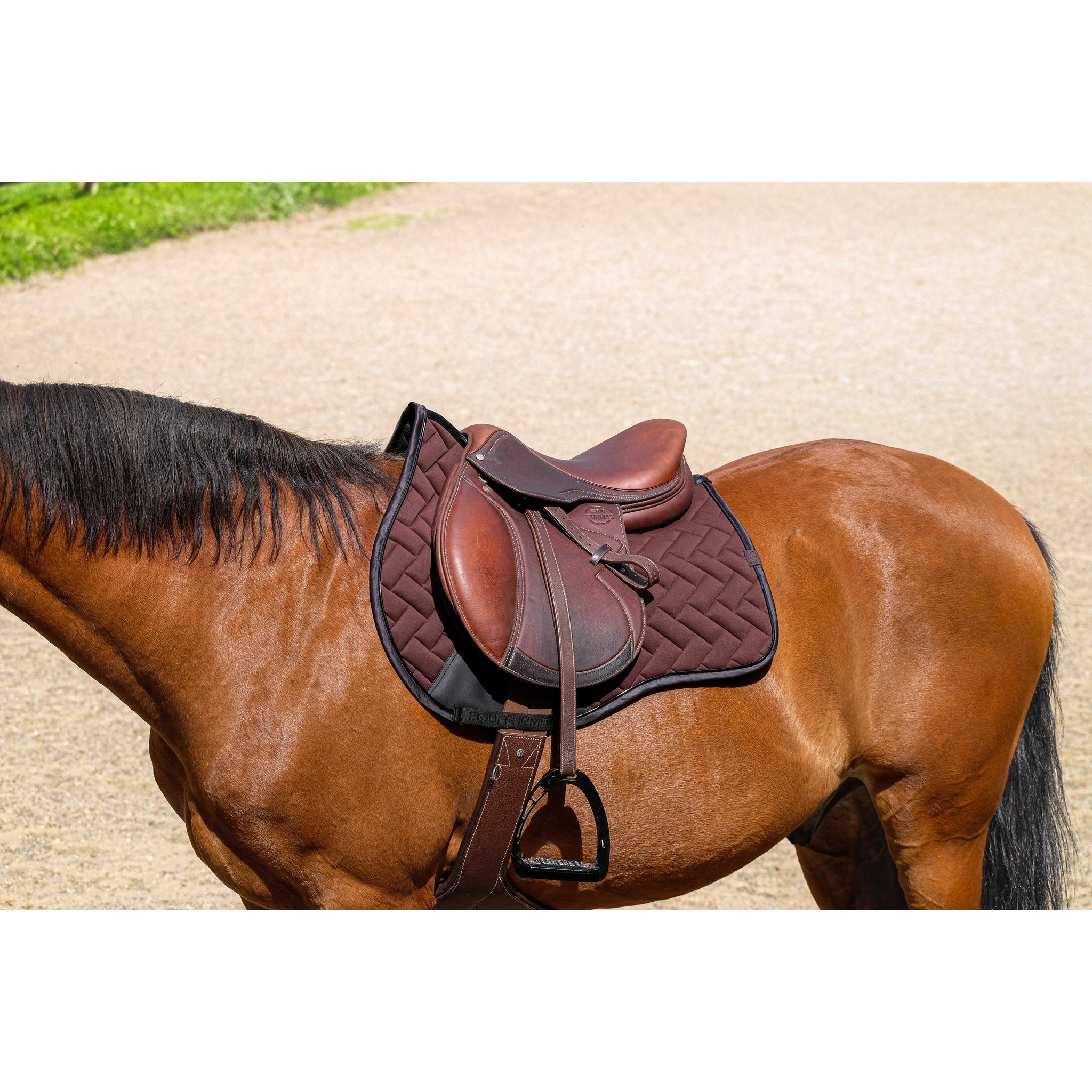 Equithème Impulsion Schabrak