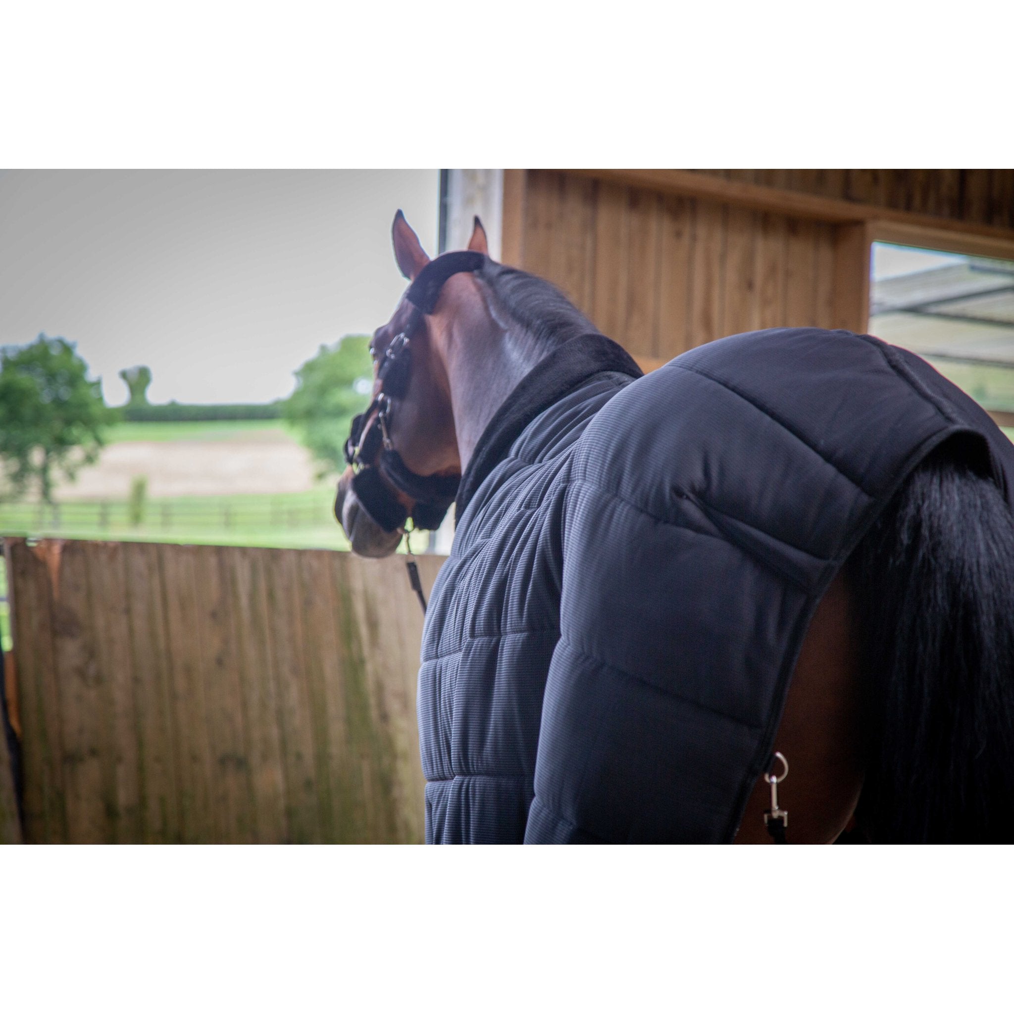 PADDOCK undertäcke 200 g