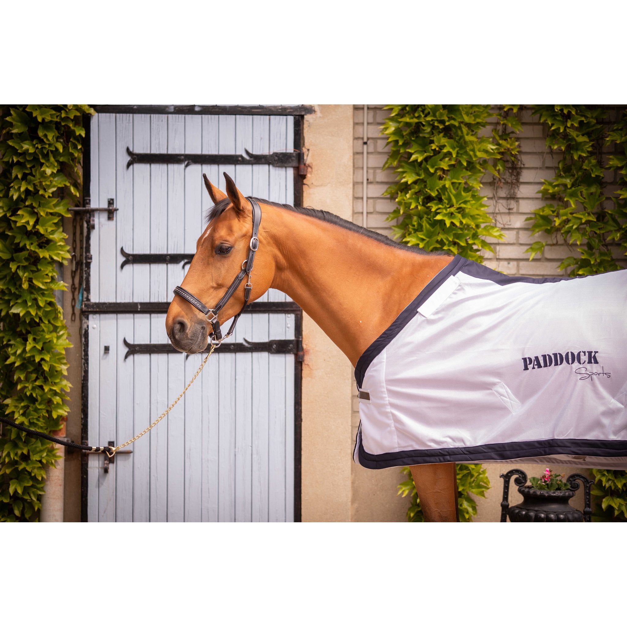 PADDOCK UV-mesh täcke med hals