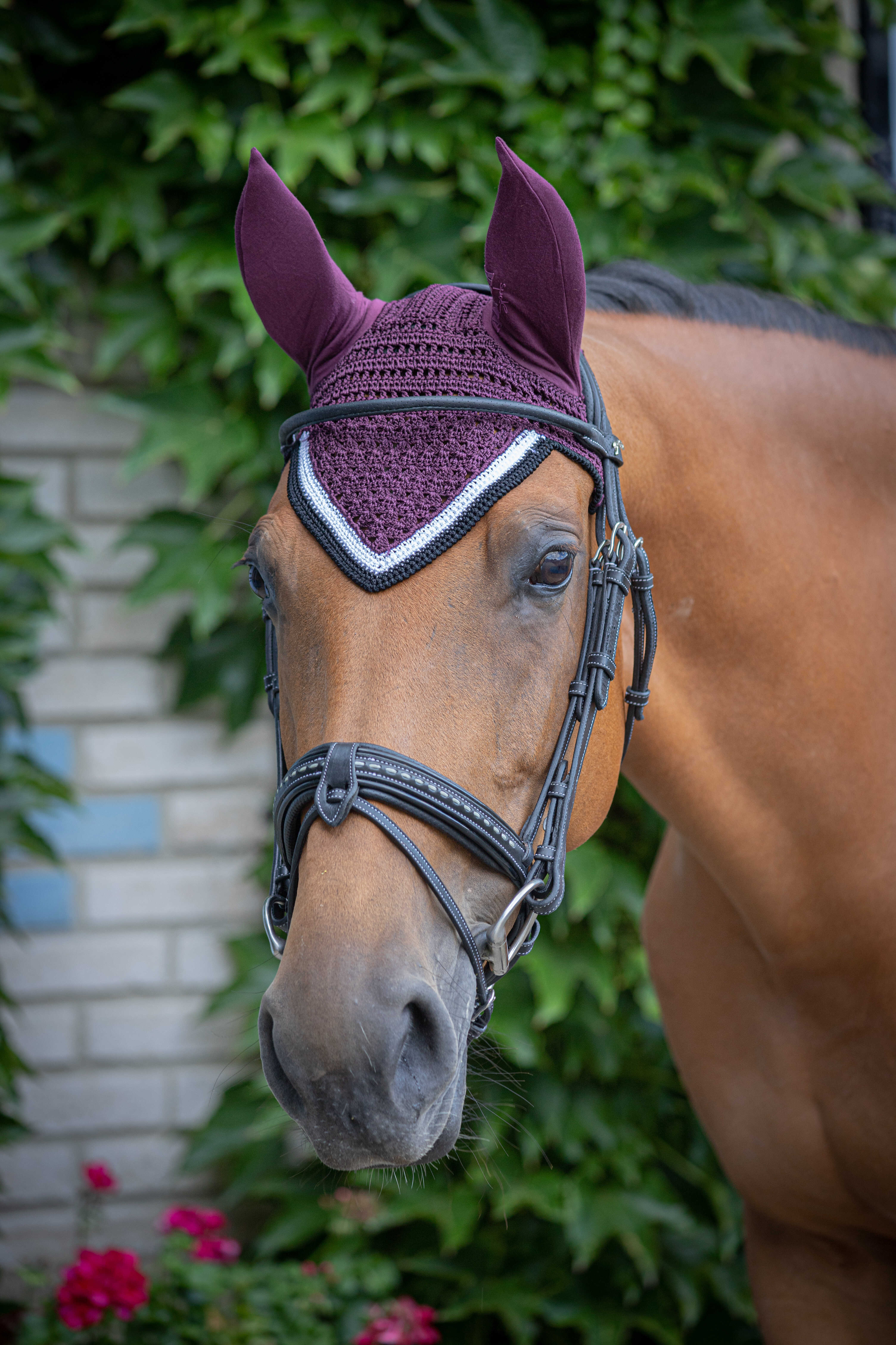 PADDOCK Origine luva