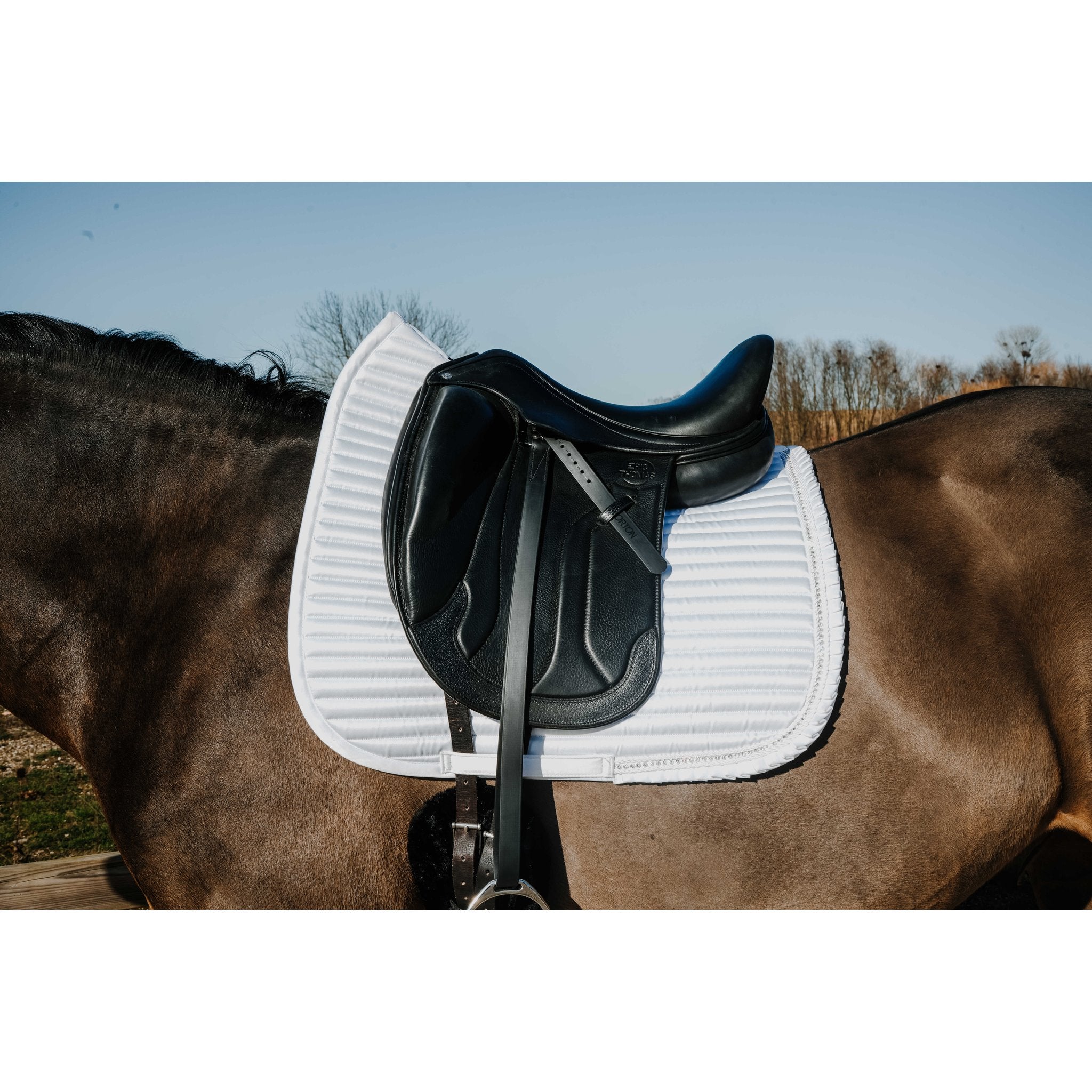 Equitheme Glam Dressyrschabrak
