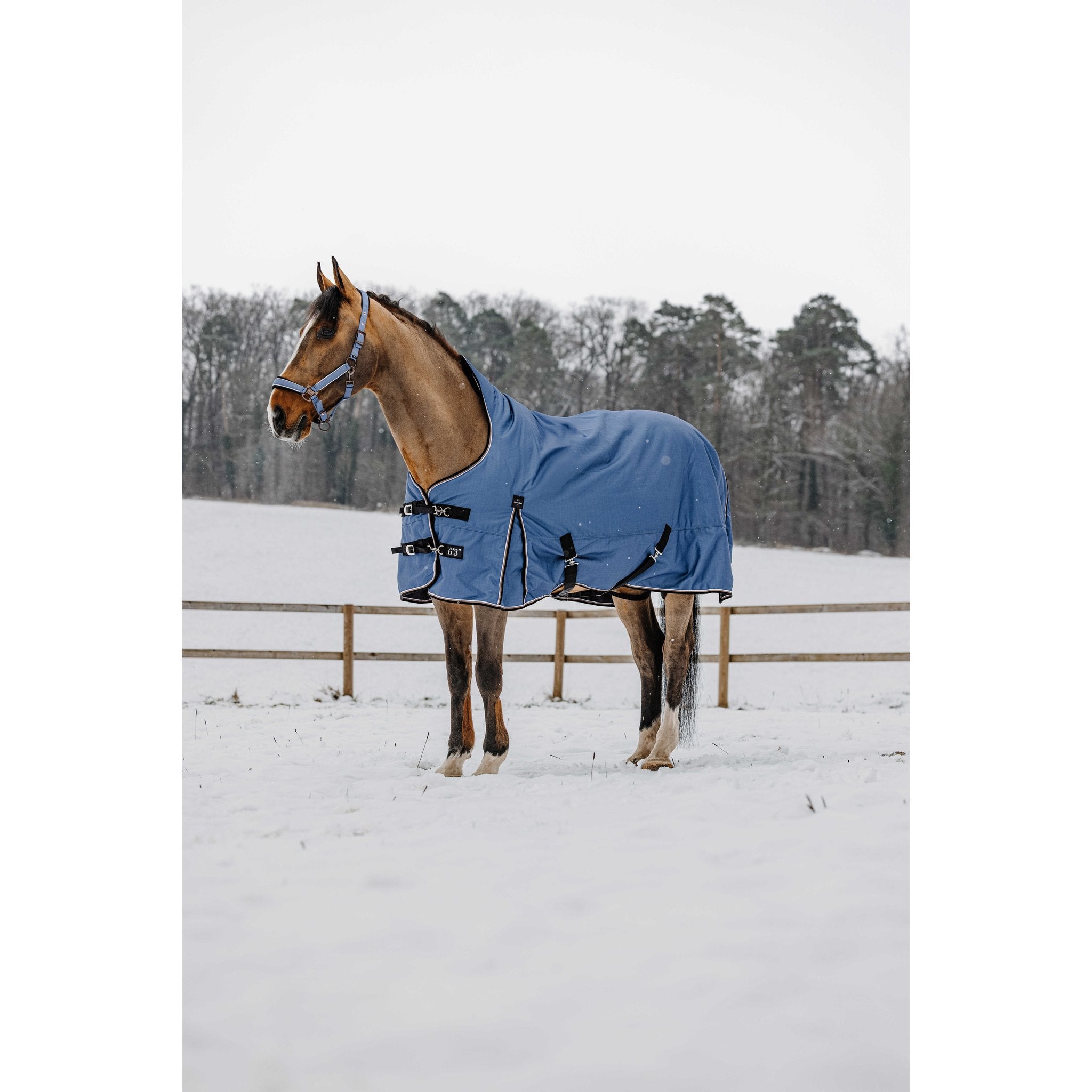 Equitheme Tyrex Aisance high neck, 150 g