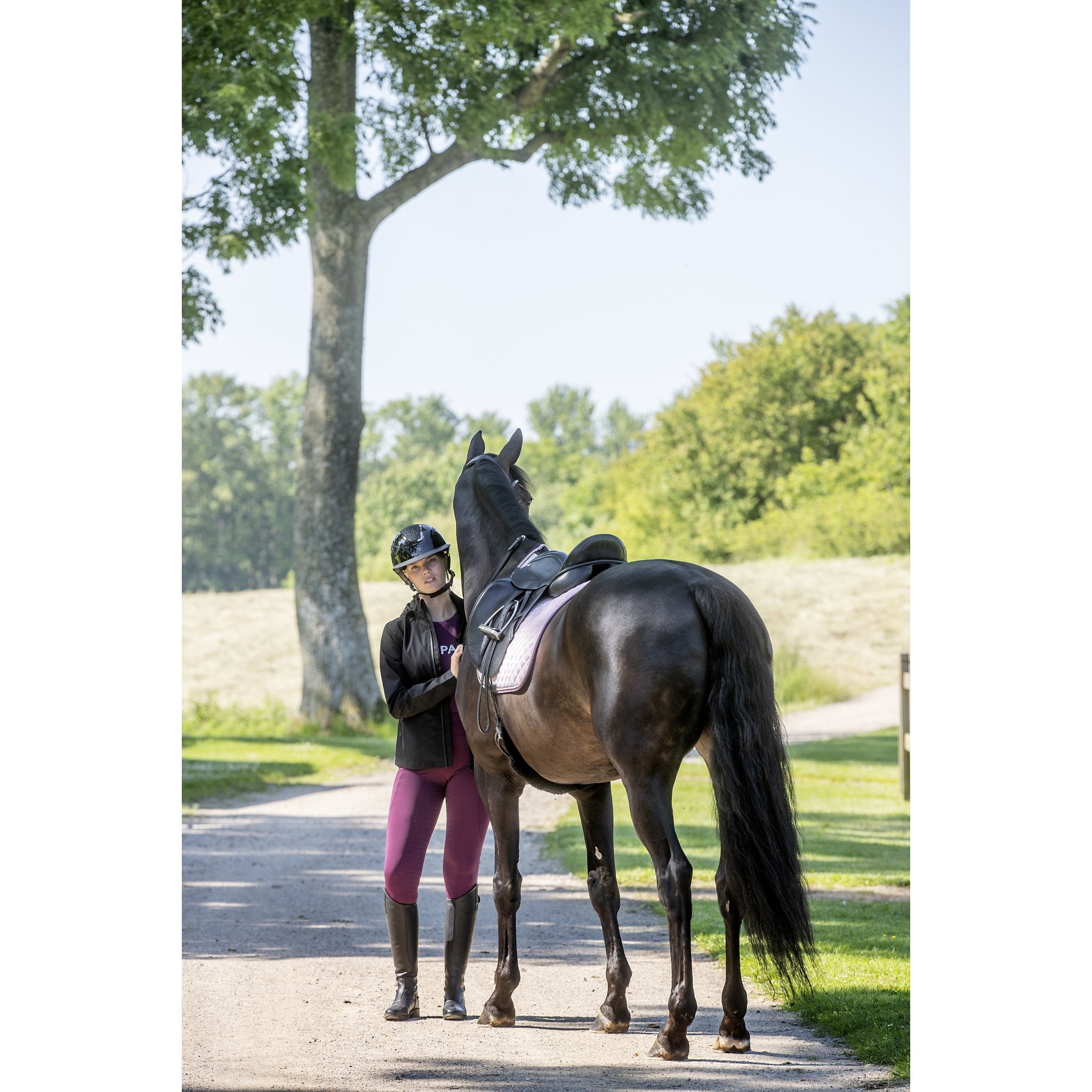 HorseGuard Milva Schabrak