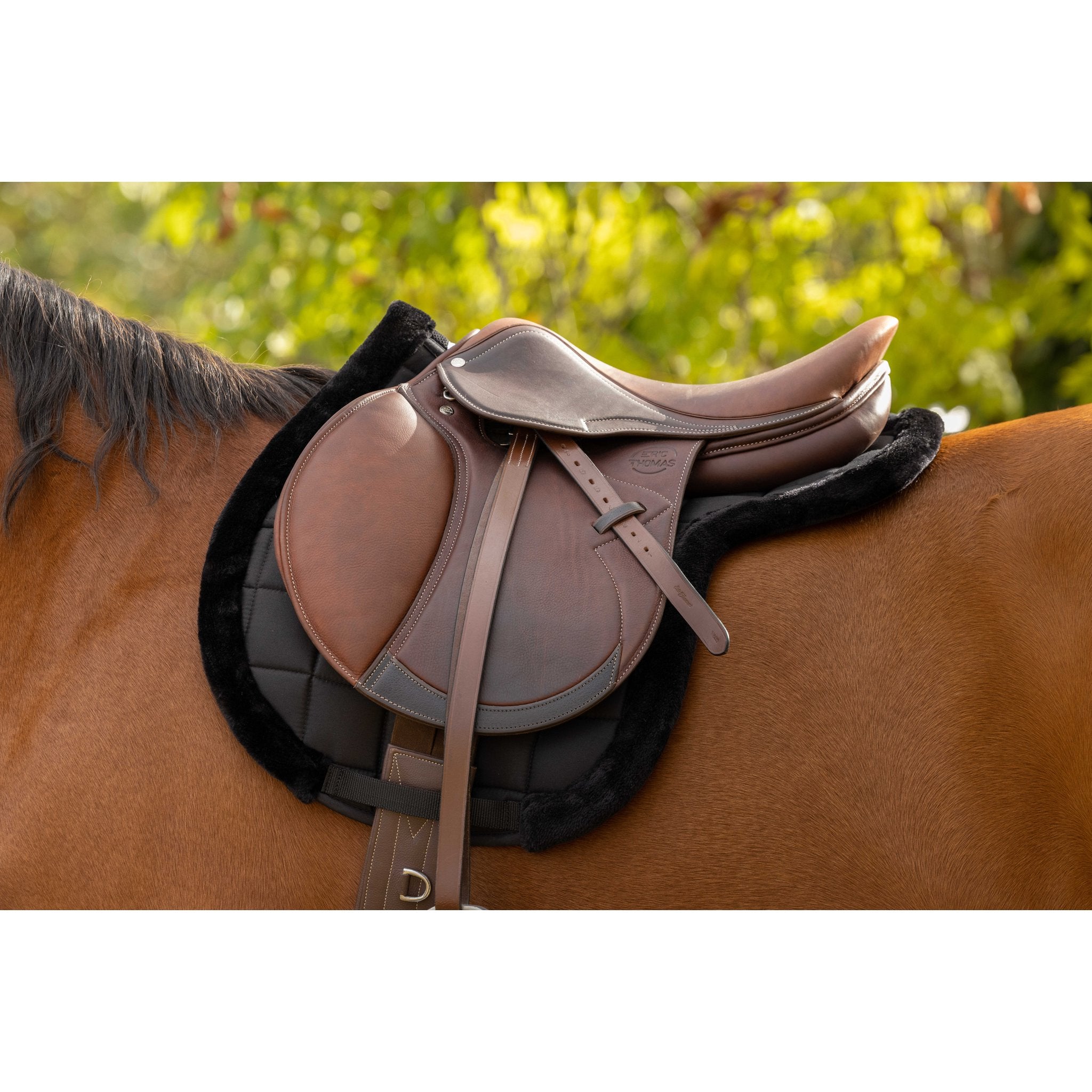Equithème Pro Shaped Schabrak