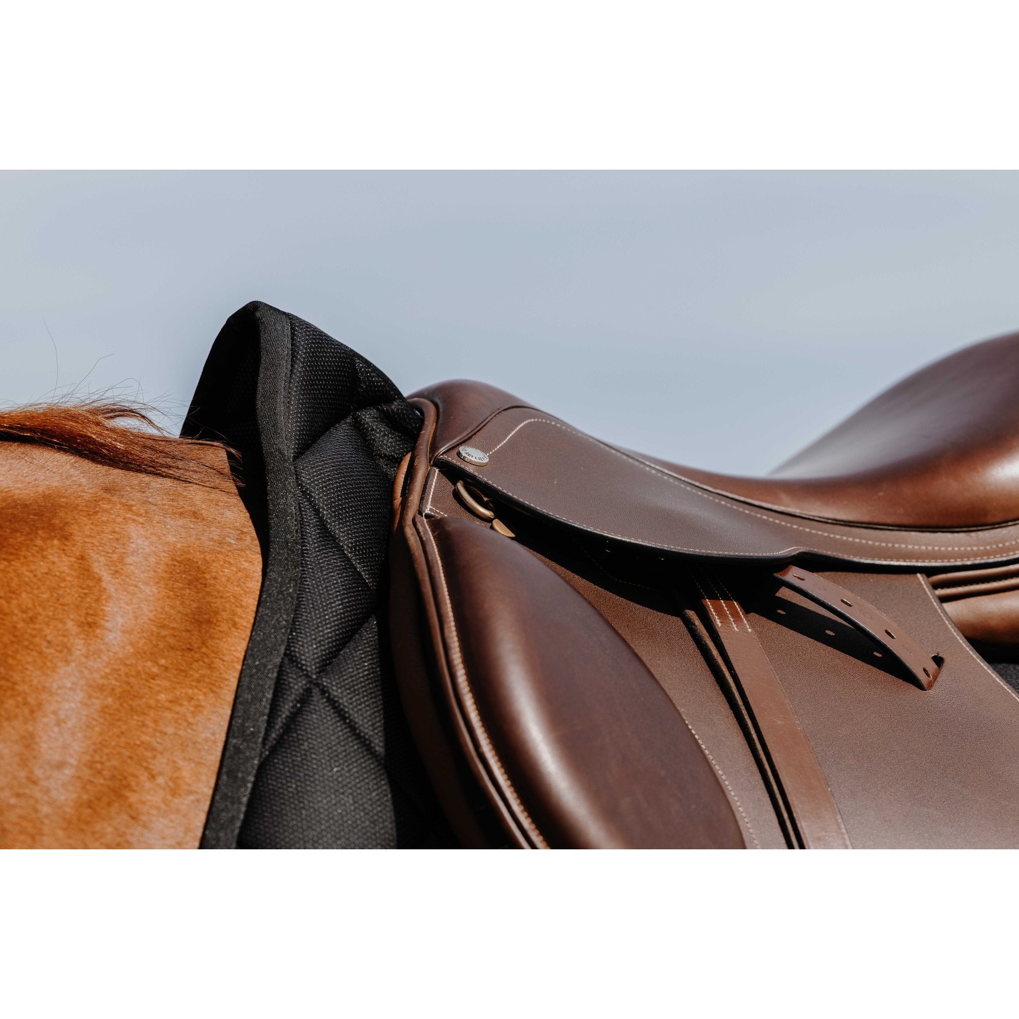 RIDING WORLD School Hoppschabrak