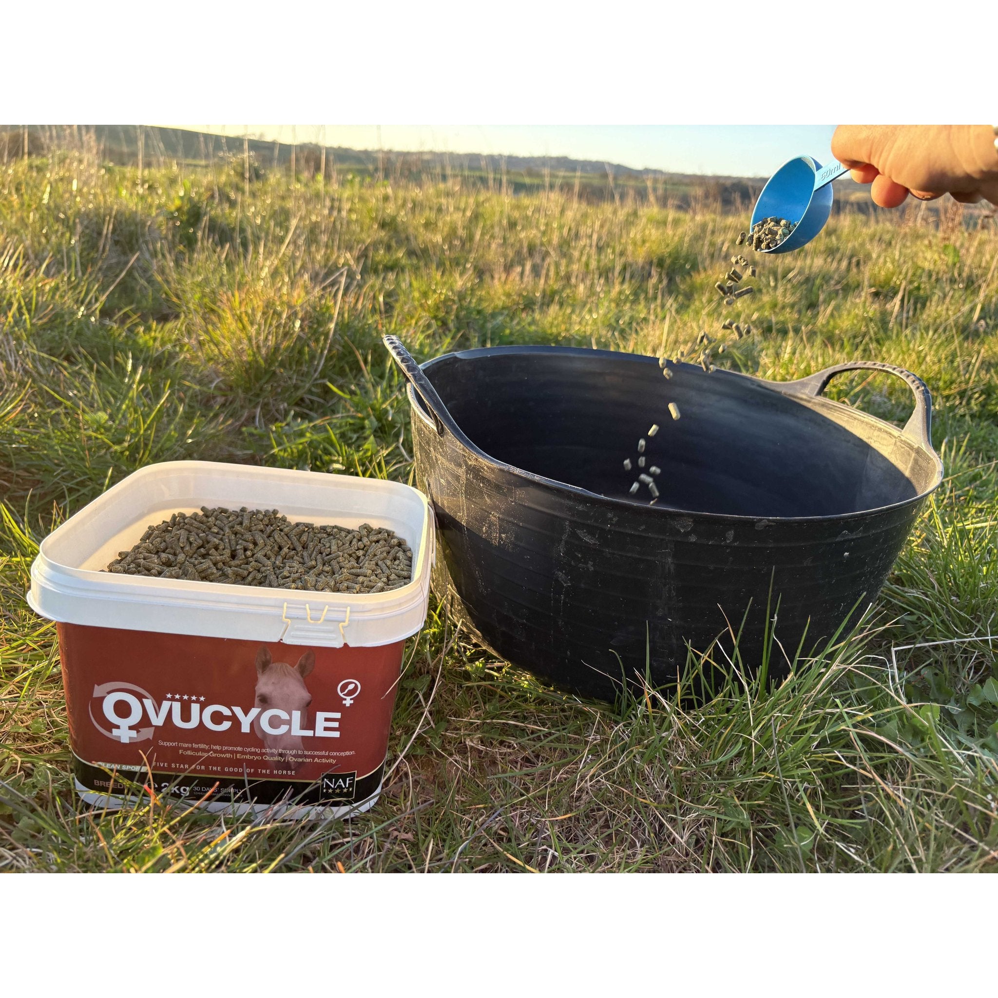 Complementary feed Ovucycle – NAF