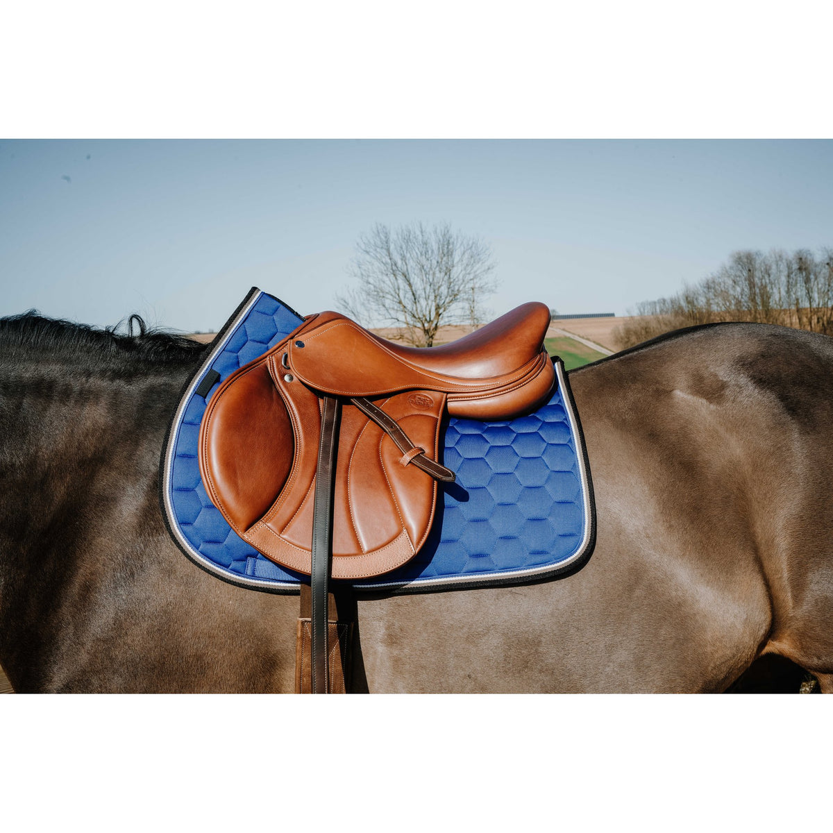 Equitheme Coco schabrak