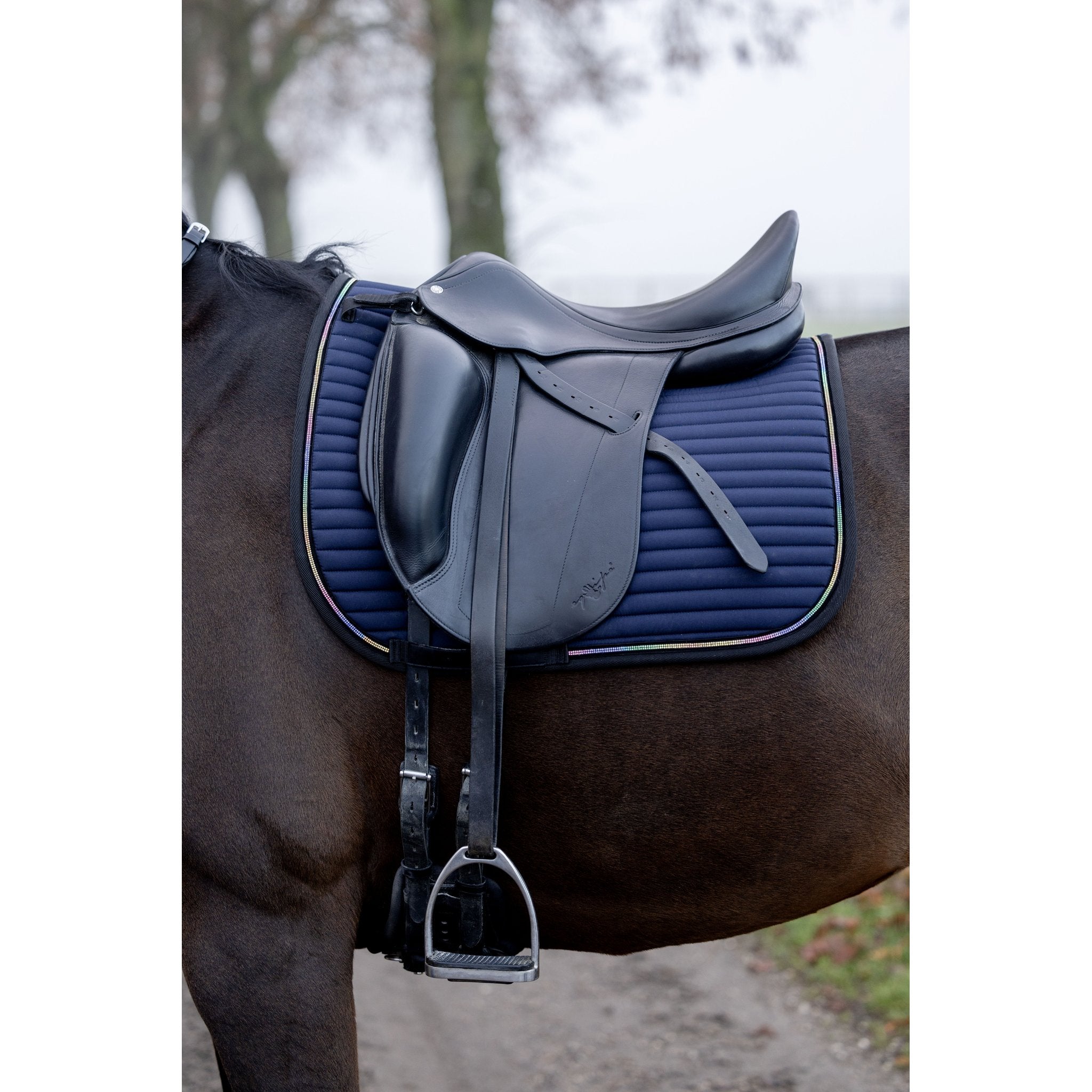 Horse Guard Bellingham-Schabrak, dressyr