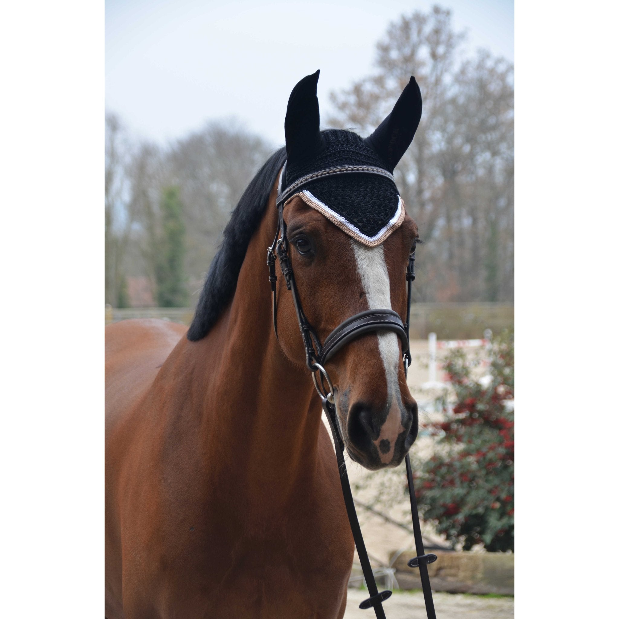 PADDOCK Origine luva