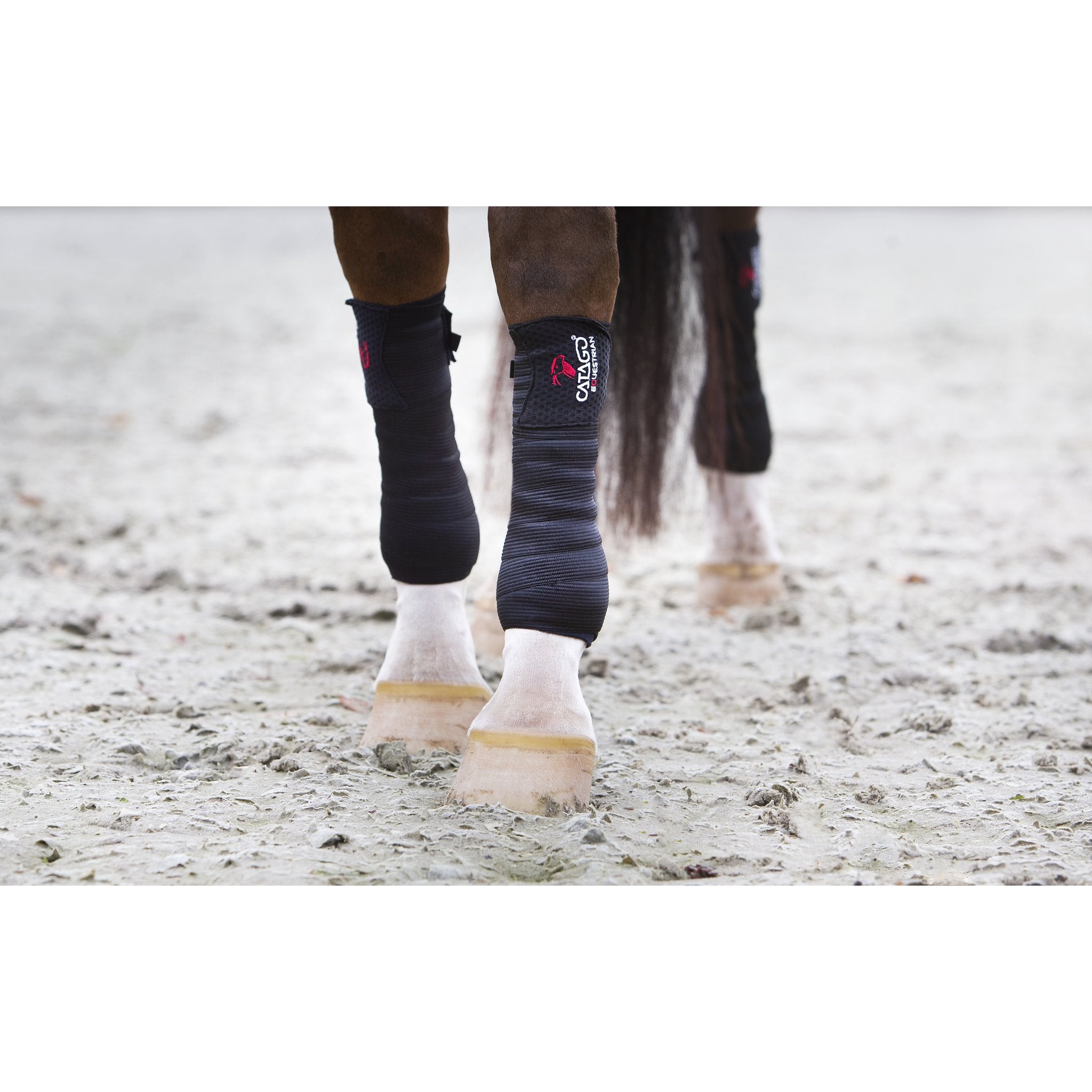 CATAGO fleece/FIR lindor