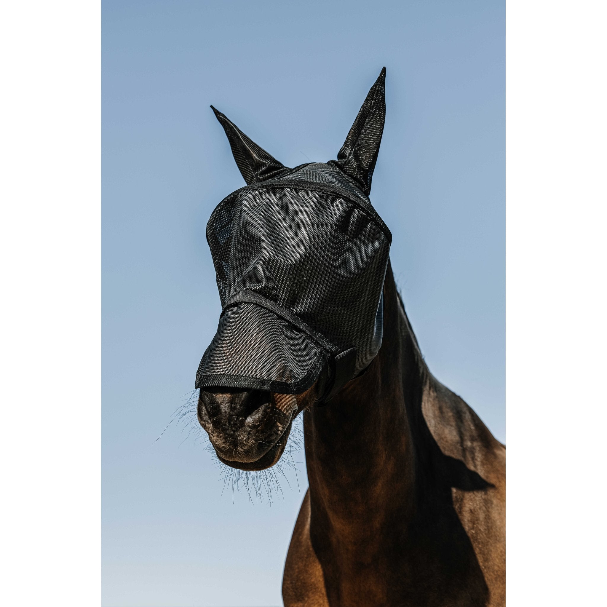 Equithème Protec Flugluva / UV-mask