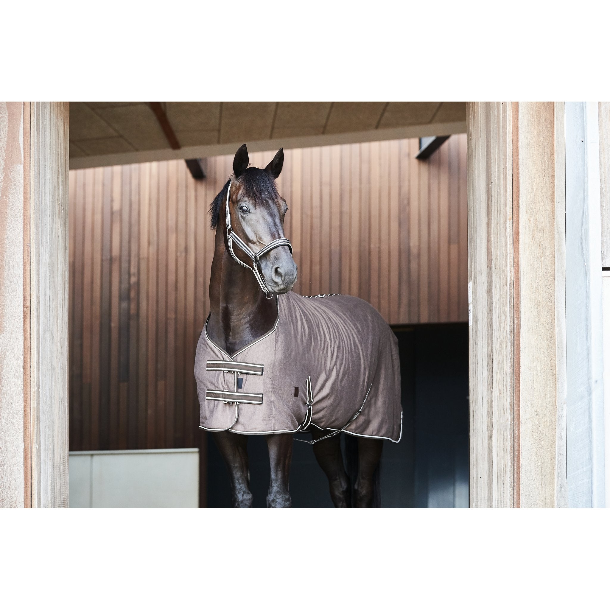 HorseGuard Jersey Cooler täcke