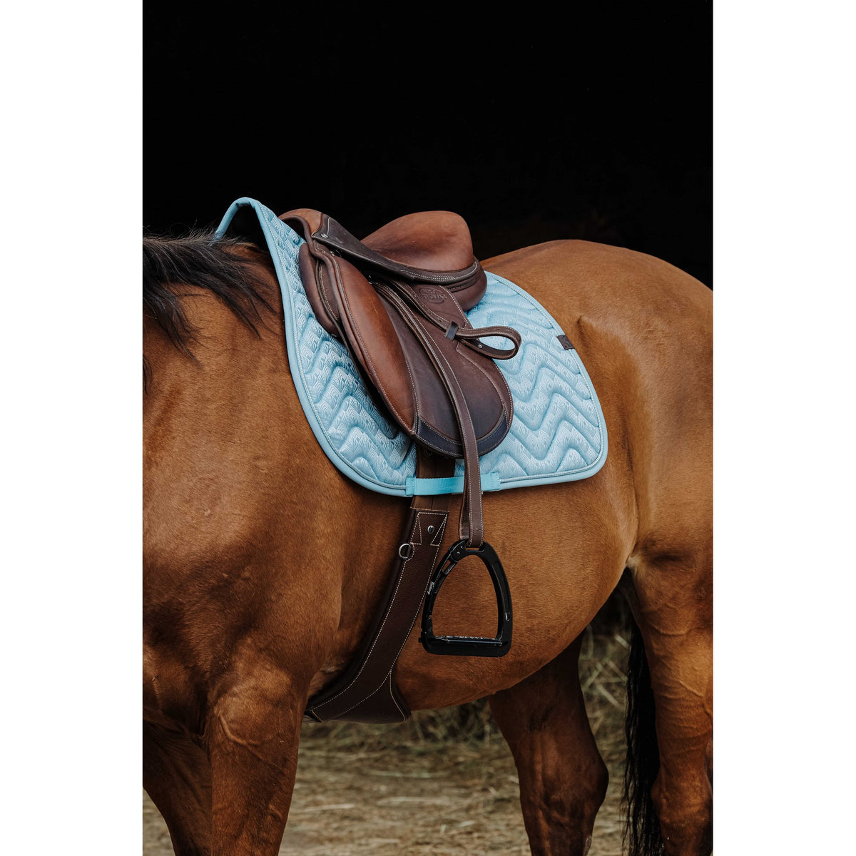 Equitheme Brocart schabrak