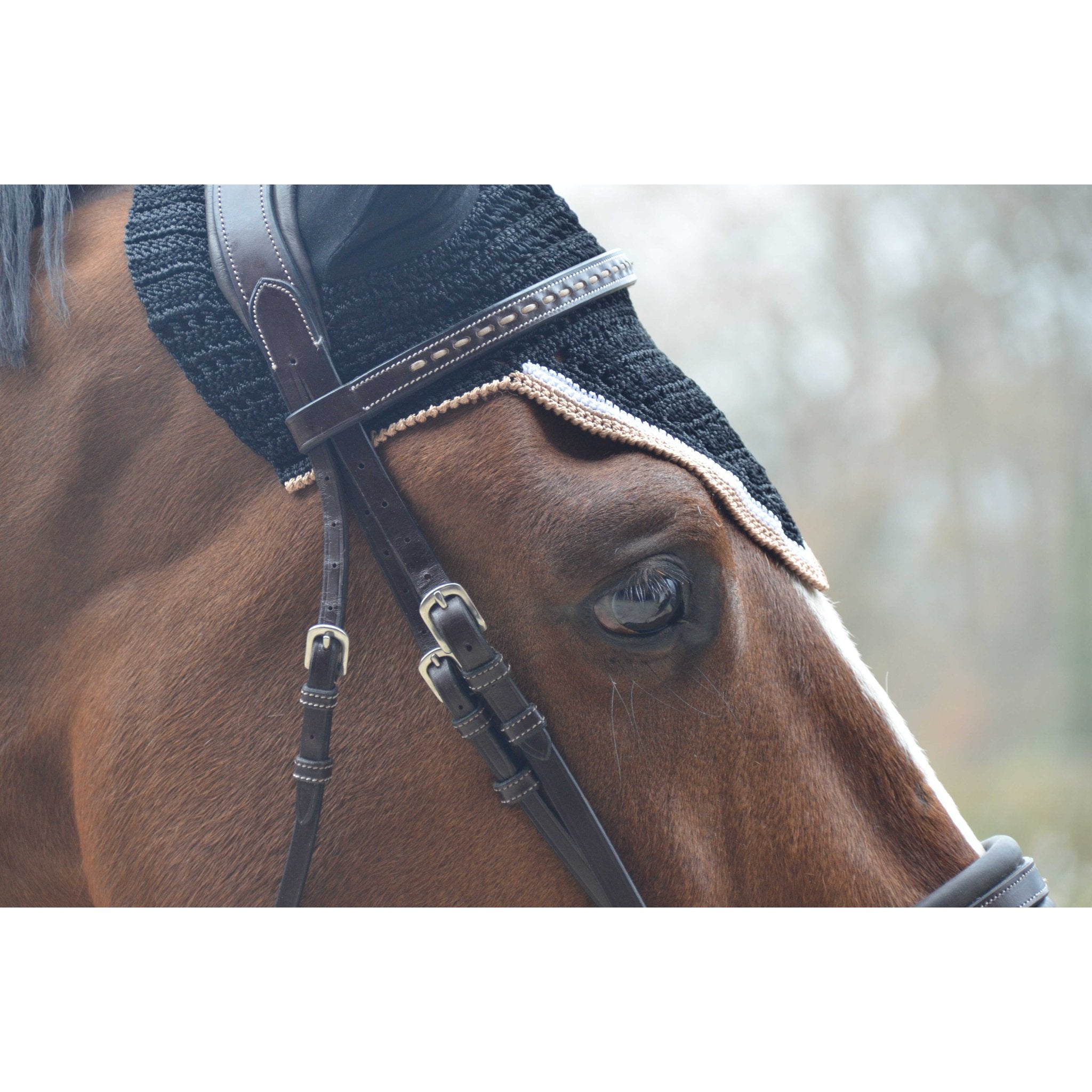 PADDOCK Origine luva