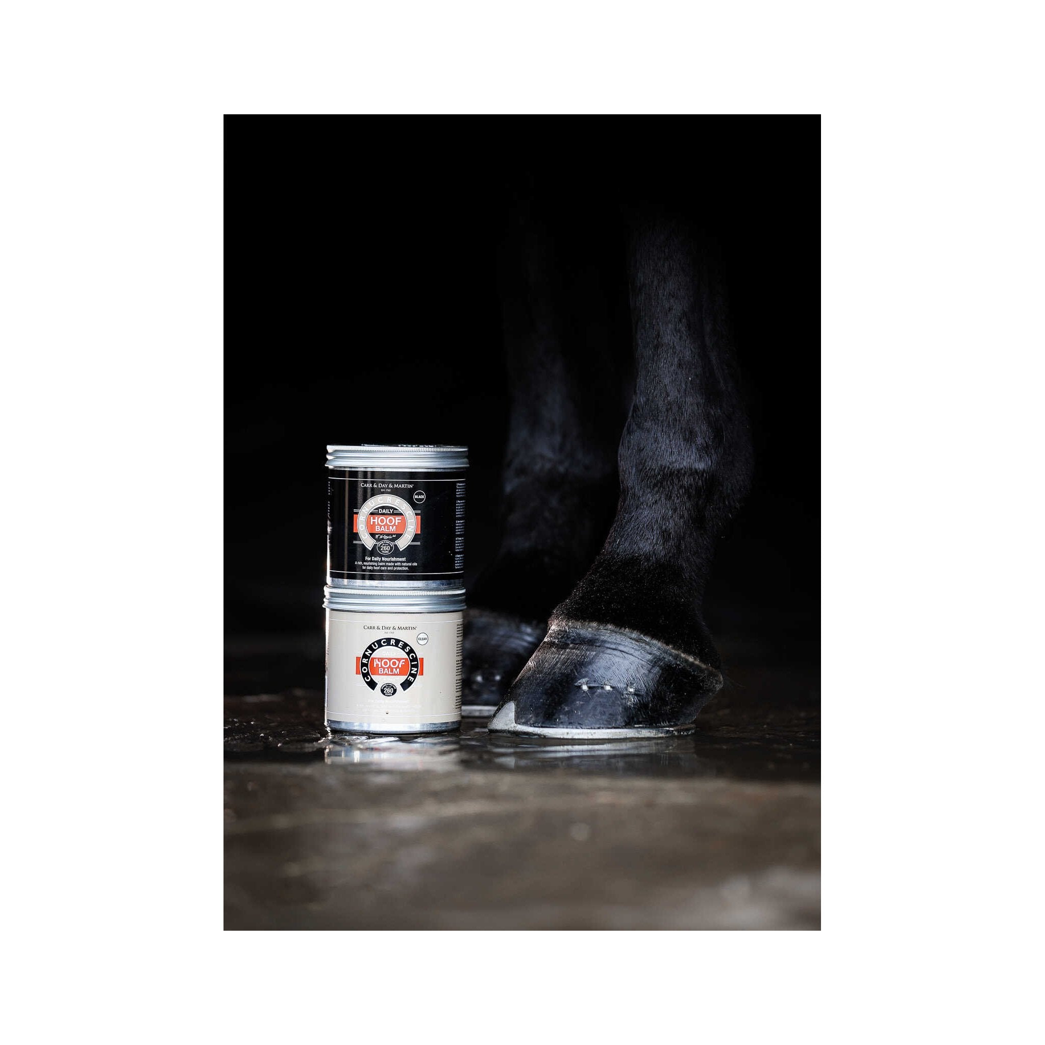 Carr & Day & Martin Cornucresine Hoof balm black