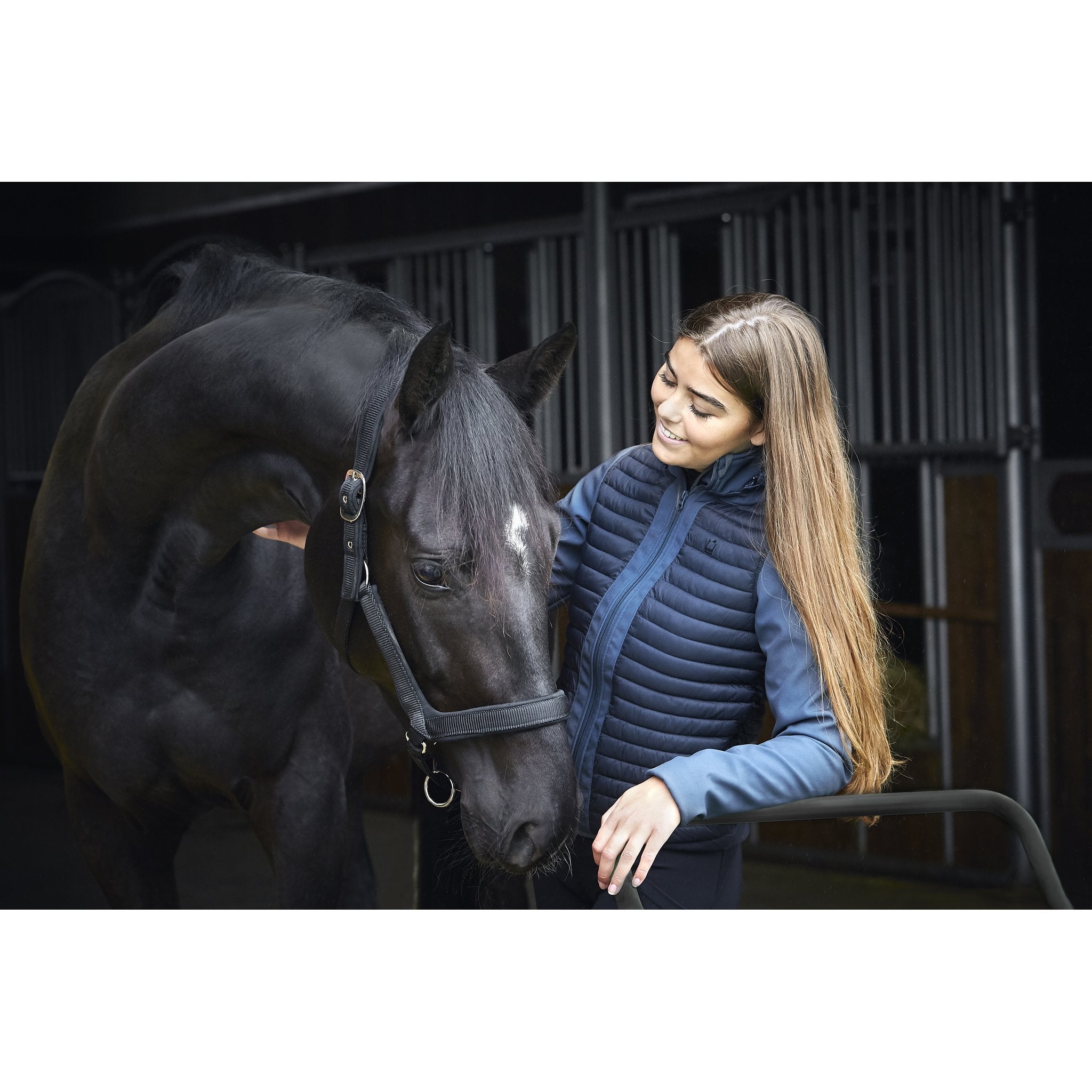 HorseGuard Anatomisk grimma