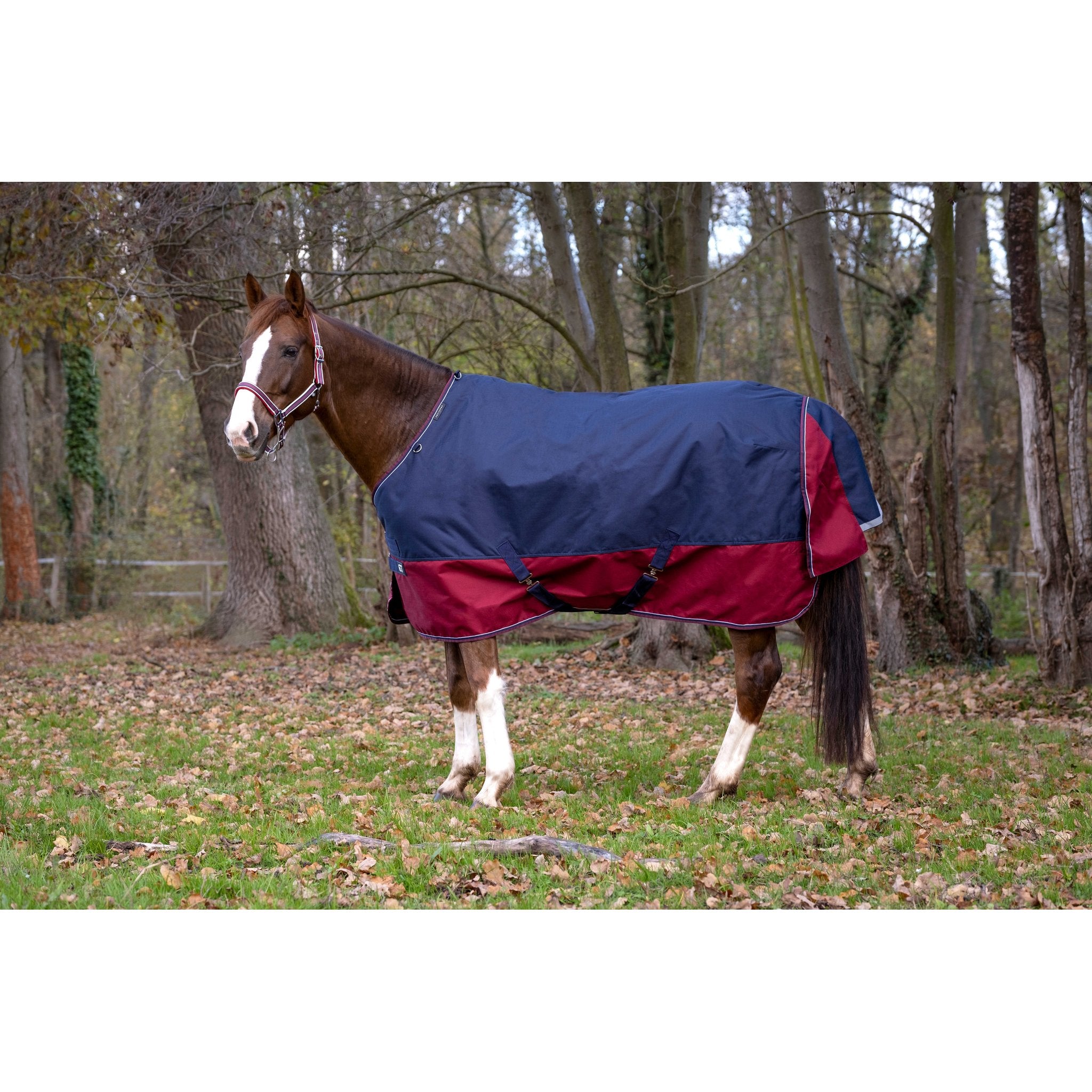 Equithème TYREX 1200D Turnout täcke 300 g