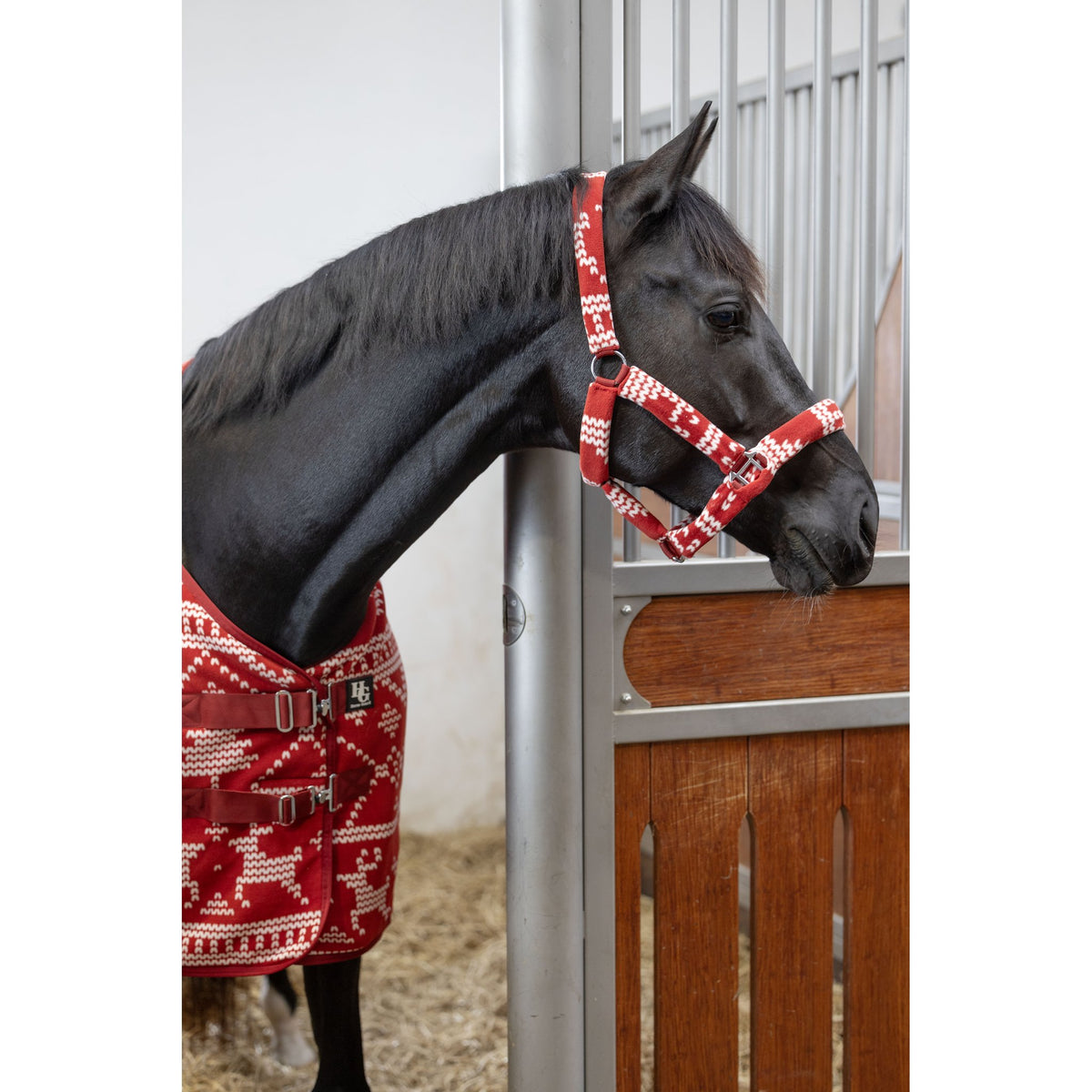 Horse Guard Christmas fleecetäcke