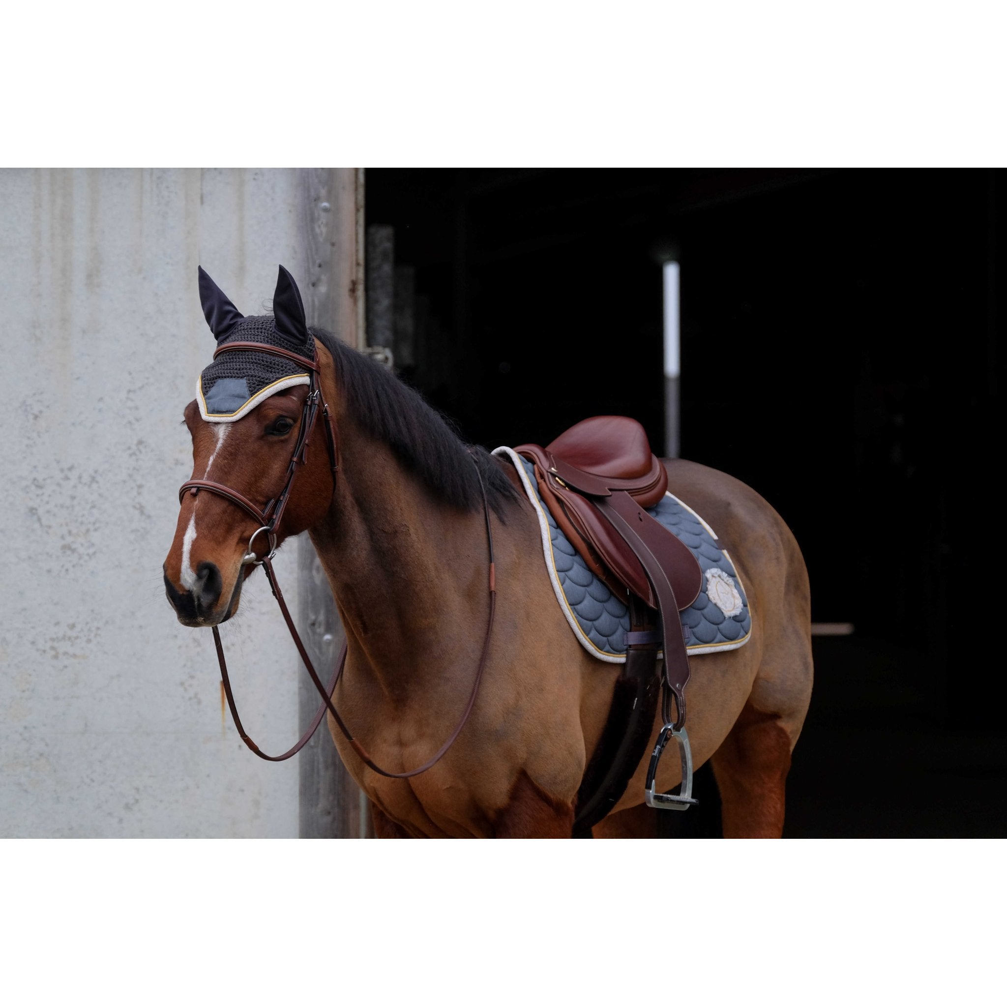 Equithème Denim Schabrak