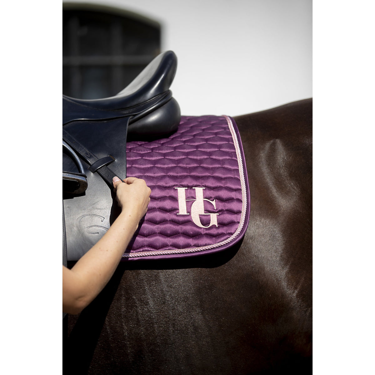 HorseGuard Taleen dressyrschabrak