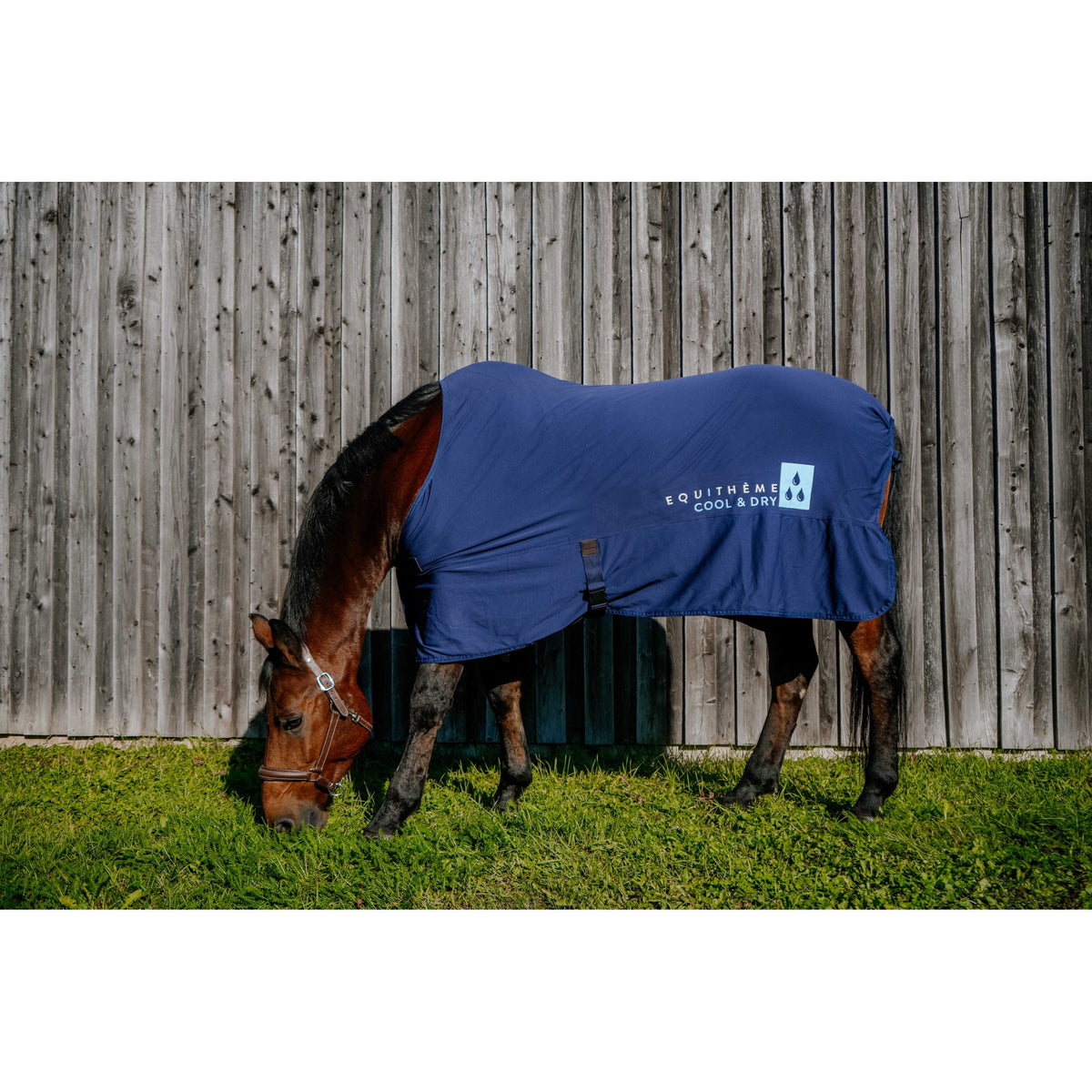 Equitheme Cool&dry täcke