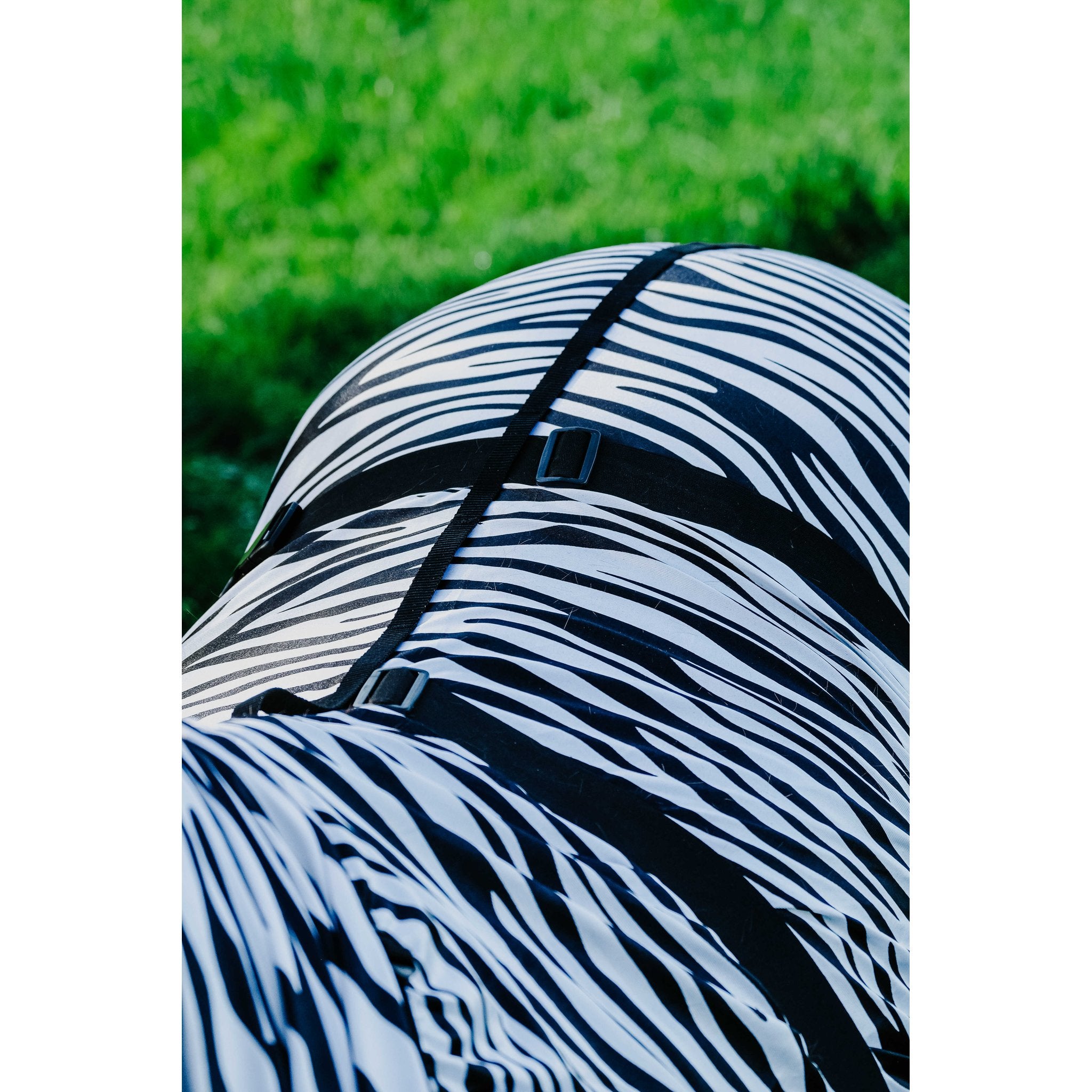 RIDING WORLD Anti-eksemtäcke zebra